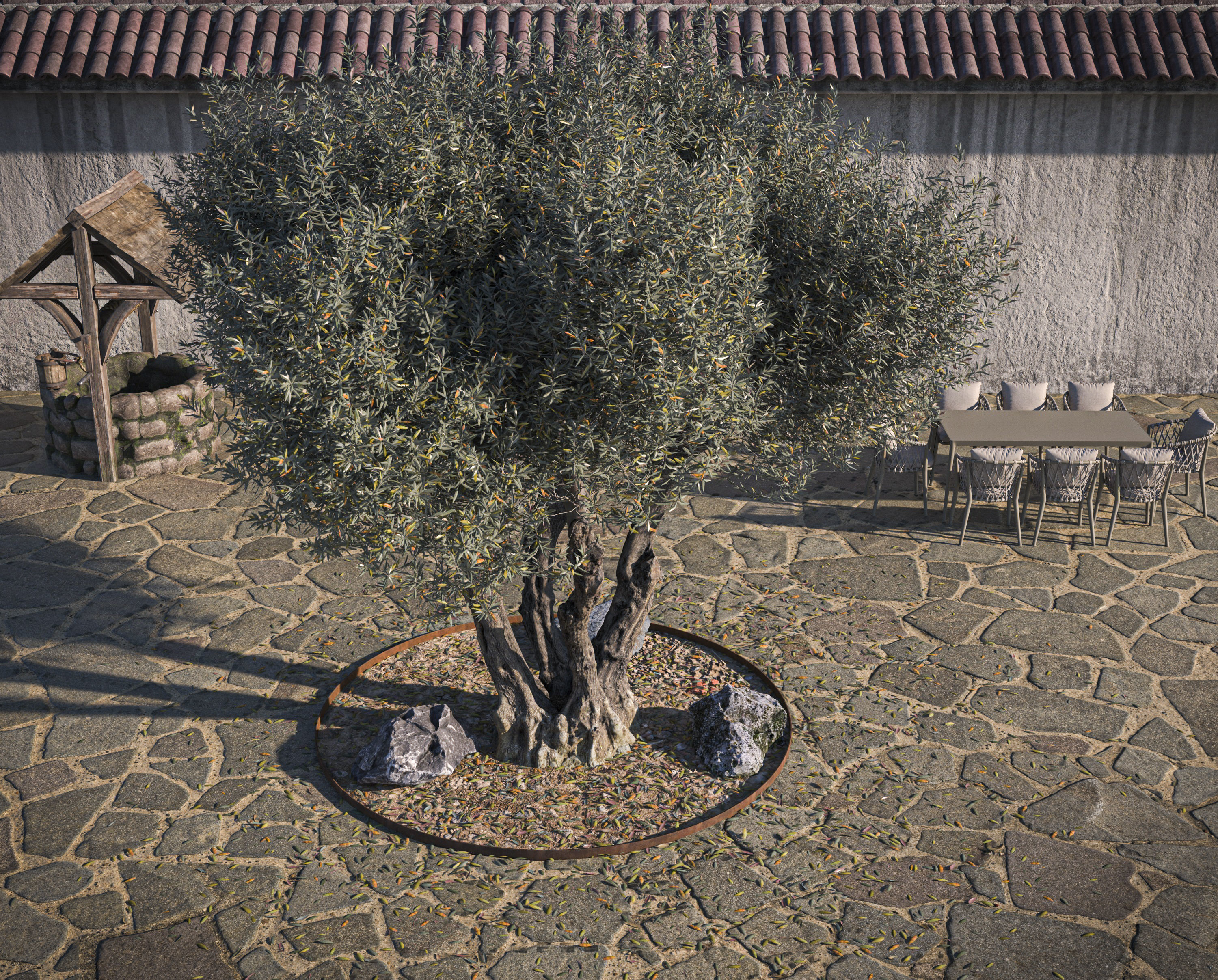 10 x Olive Tree Pack  3D Model Collection_41