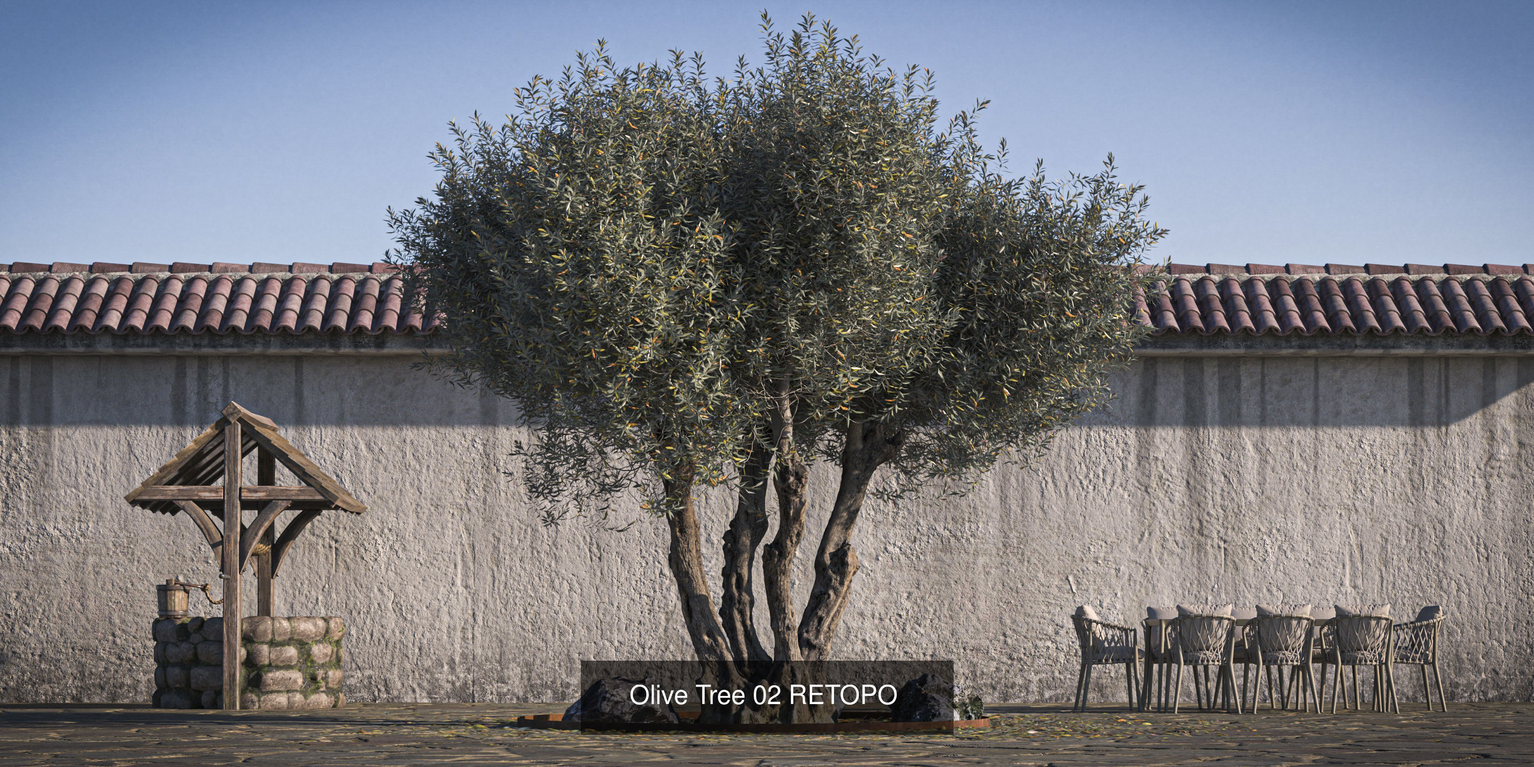 10 x Olive Tree Pack  3D Model Collection_1