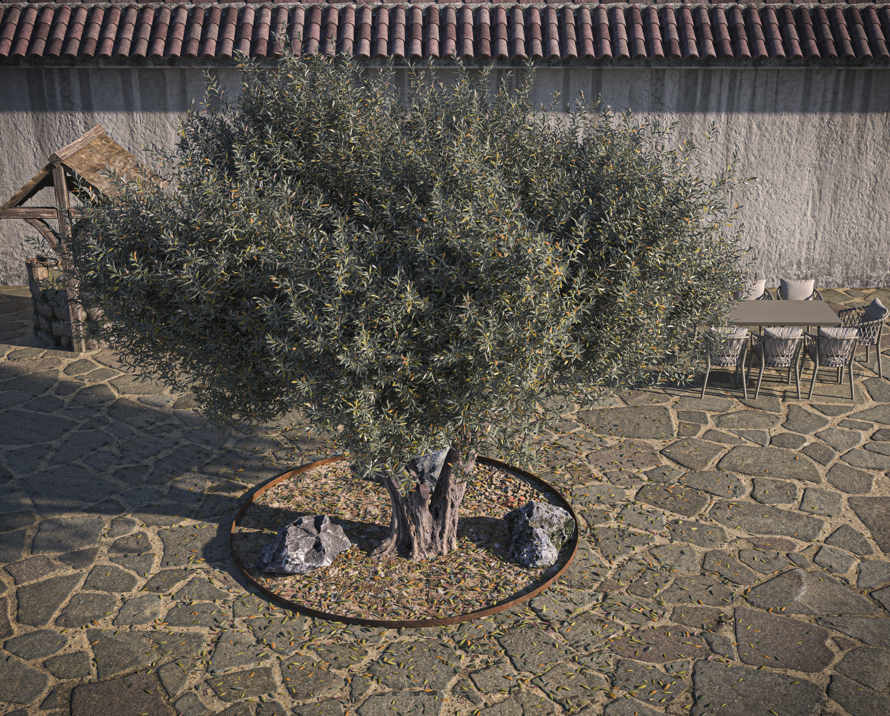 10 x Olive Tree Pack  3D Model Collection_77