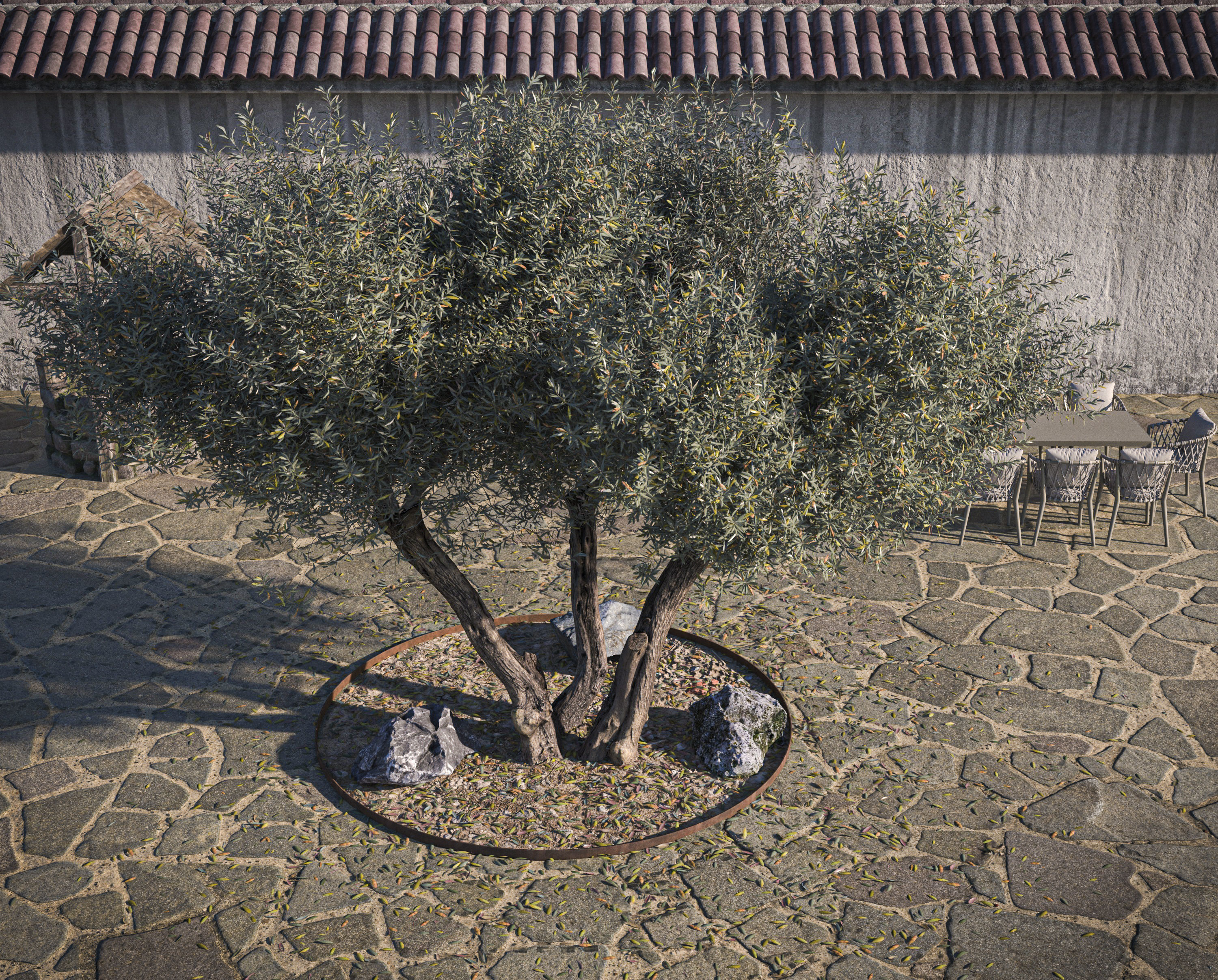 10 x Olive Tree Pack  3D Model Collection_56