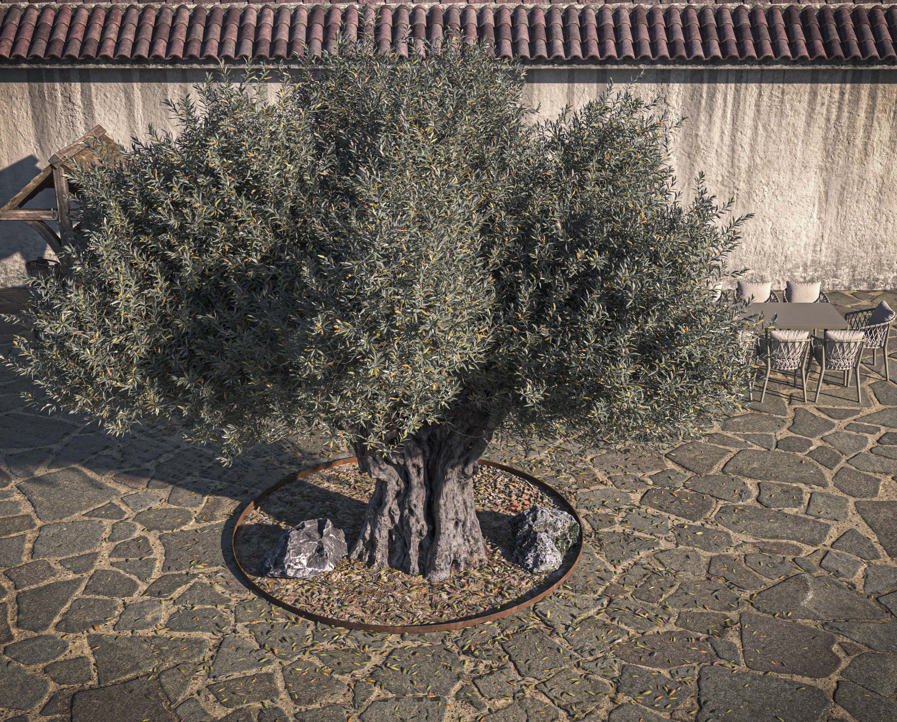10 x Olive Tree Pack  3D Model Collection_79