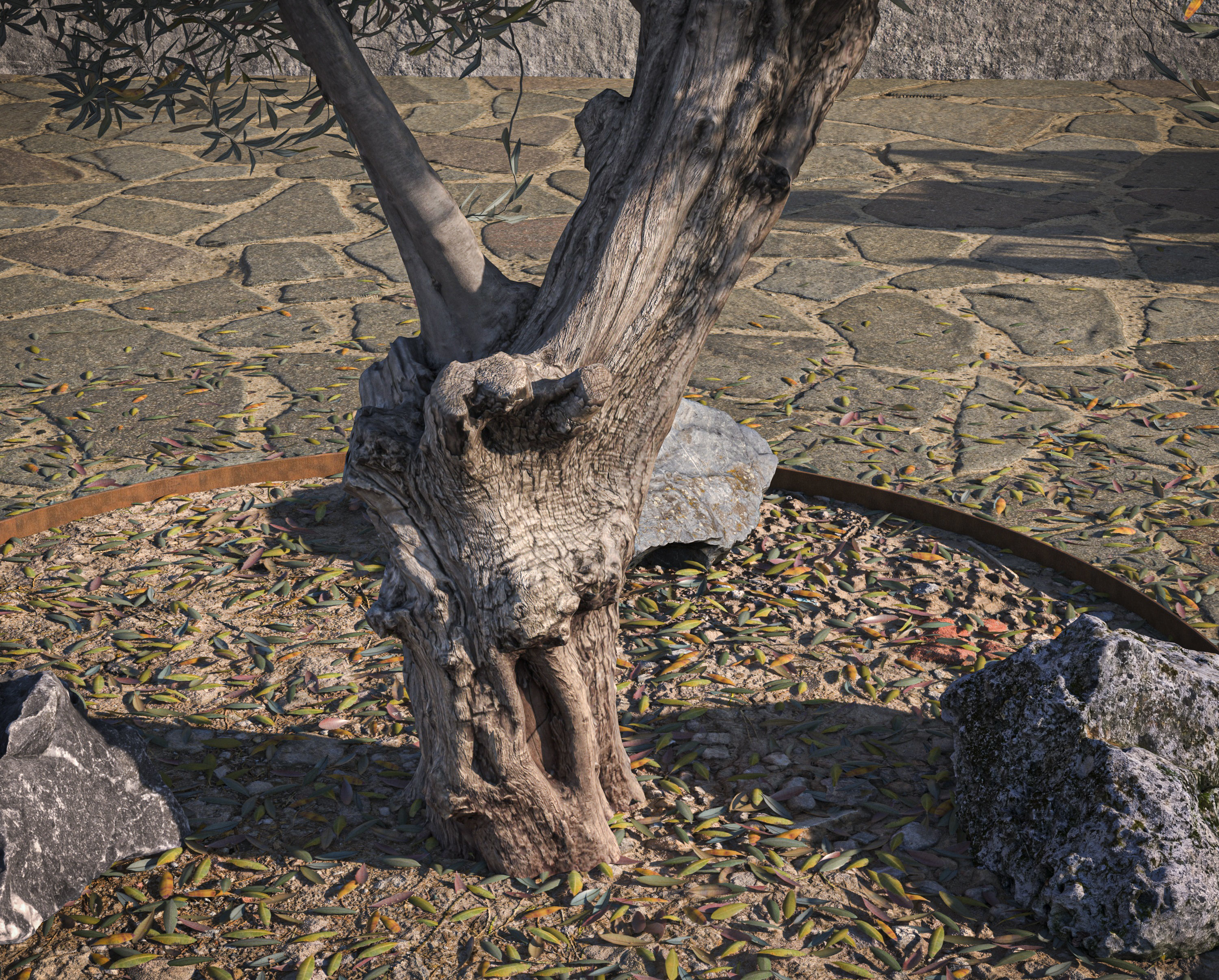 10 x Olive Tree Pack  3D Model Collection_54