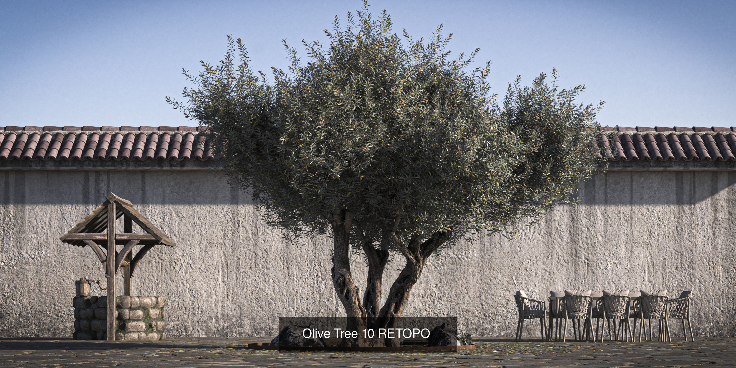 10 x Olive Tree Pack  3D Model Collection_9
