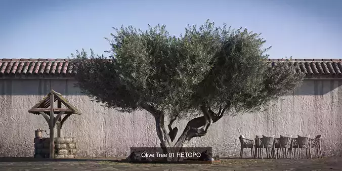 10 x Olive Tree Pack  3D Model Collection