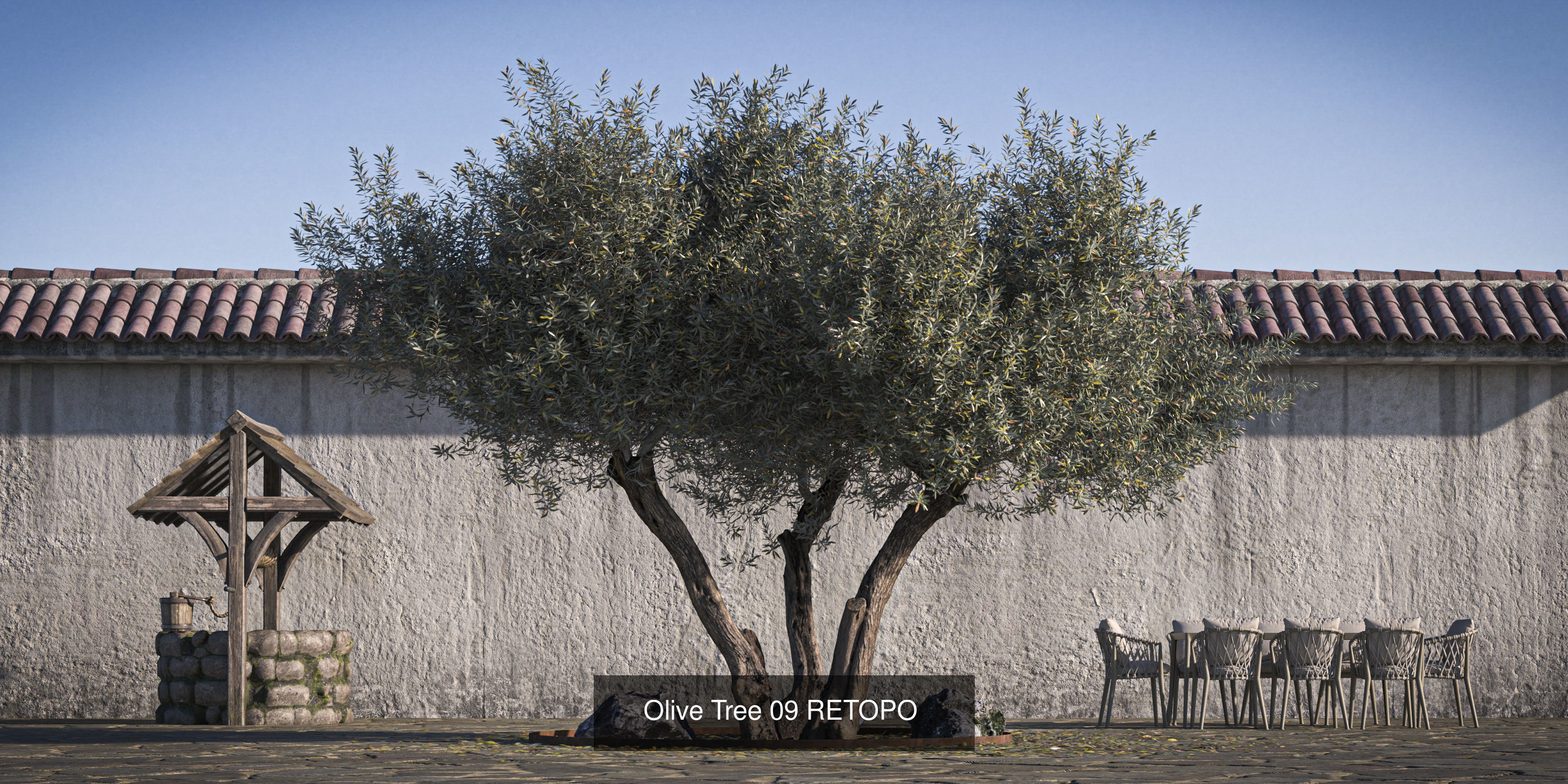 10 x Olive Tree Pack  3D Model Collection_8