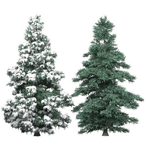 Spruce 1 two pine trees 3D model