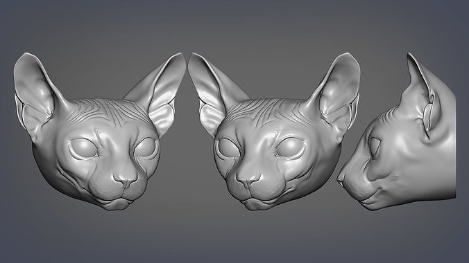 Sphinx 3D print model