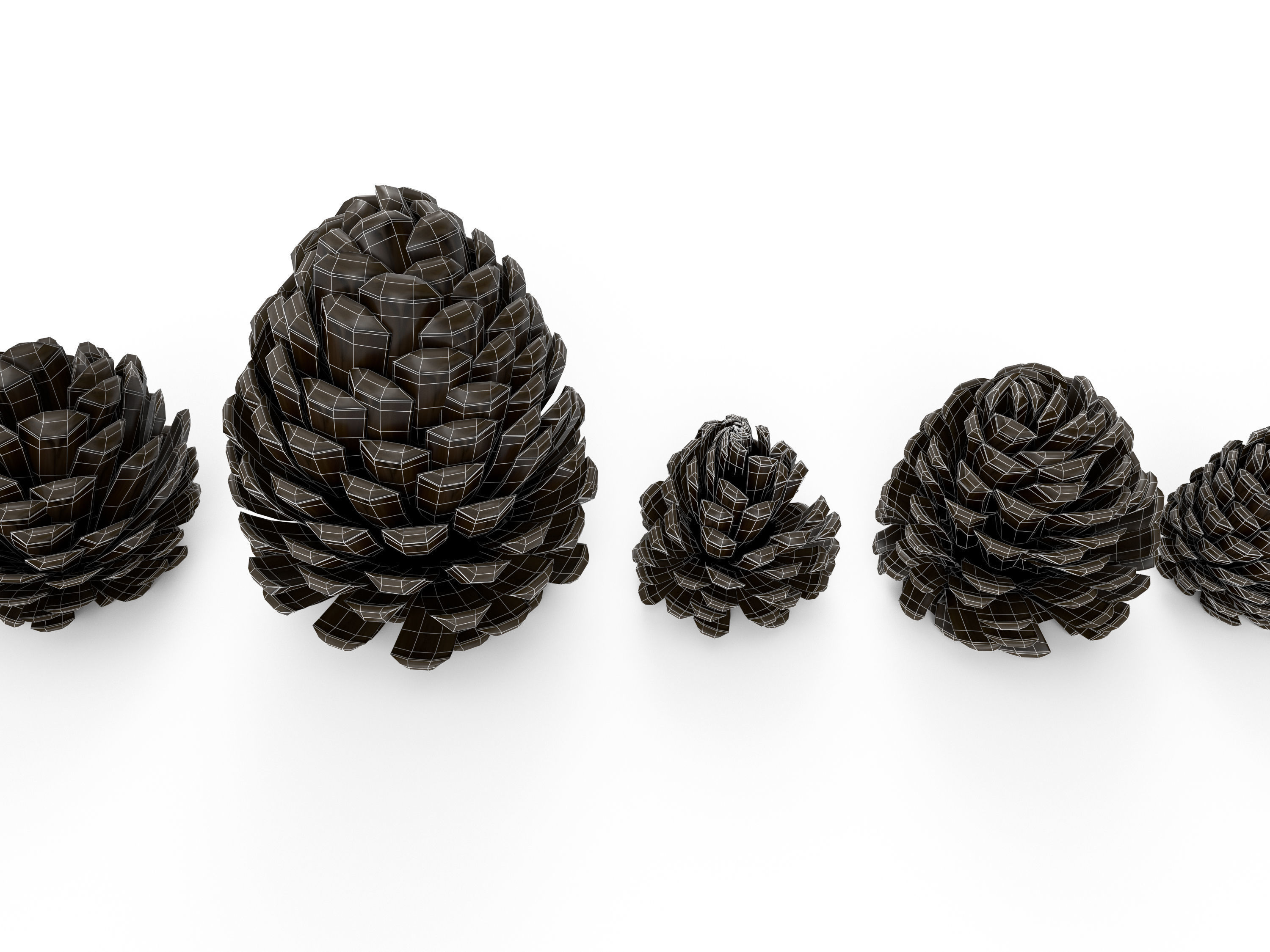 Realistic low-poly fircone models Low-poly 3D model_5