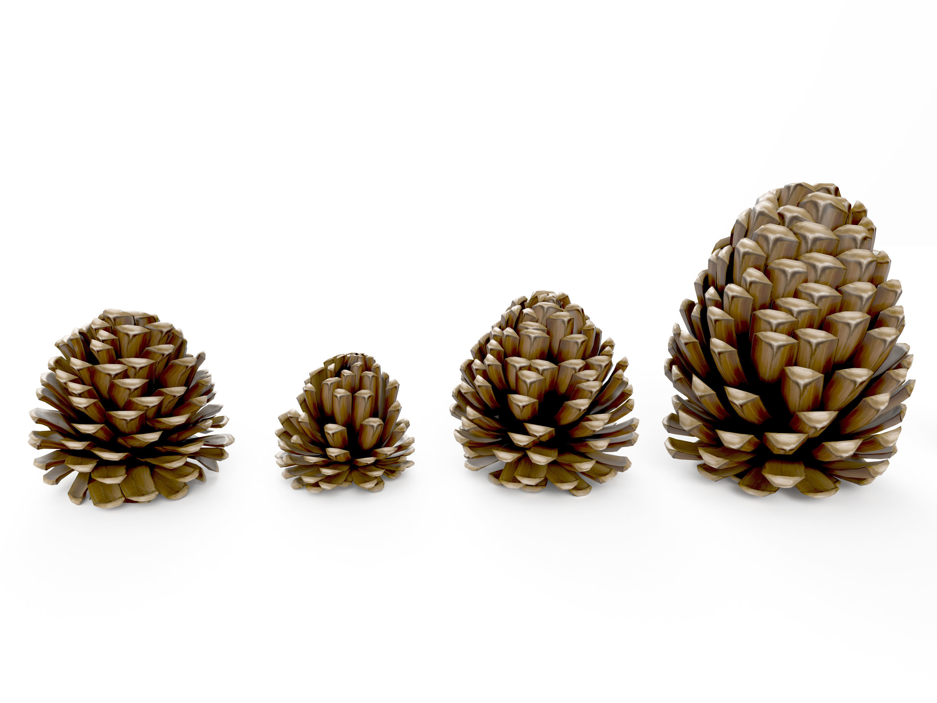 Realistic low-poly fircone models Low-poly 3D model_6