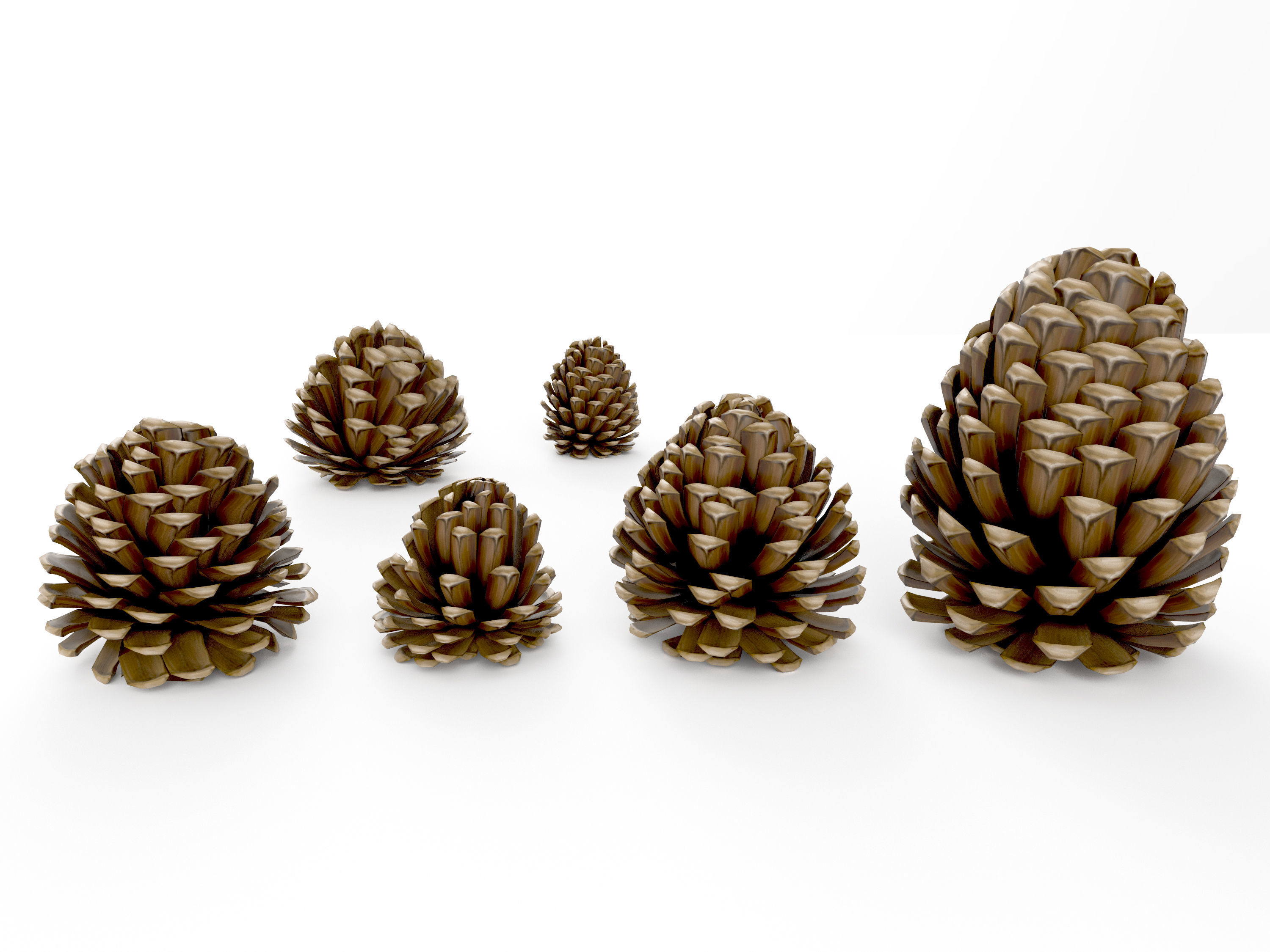 Realistic low-poly fircone models Low-poly 3D model_3