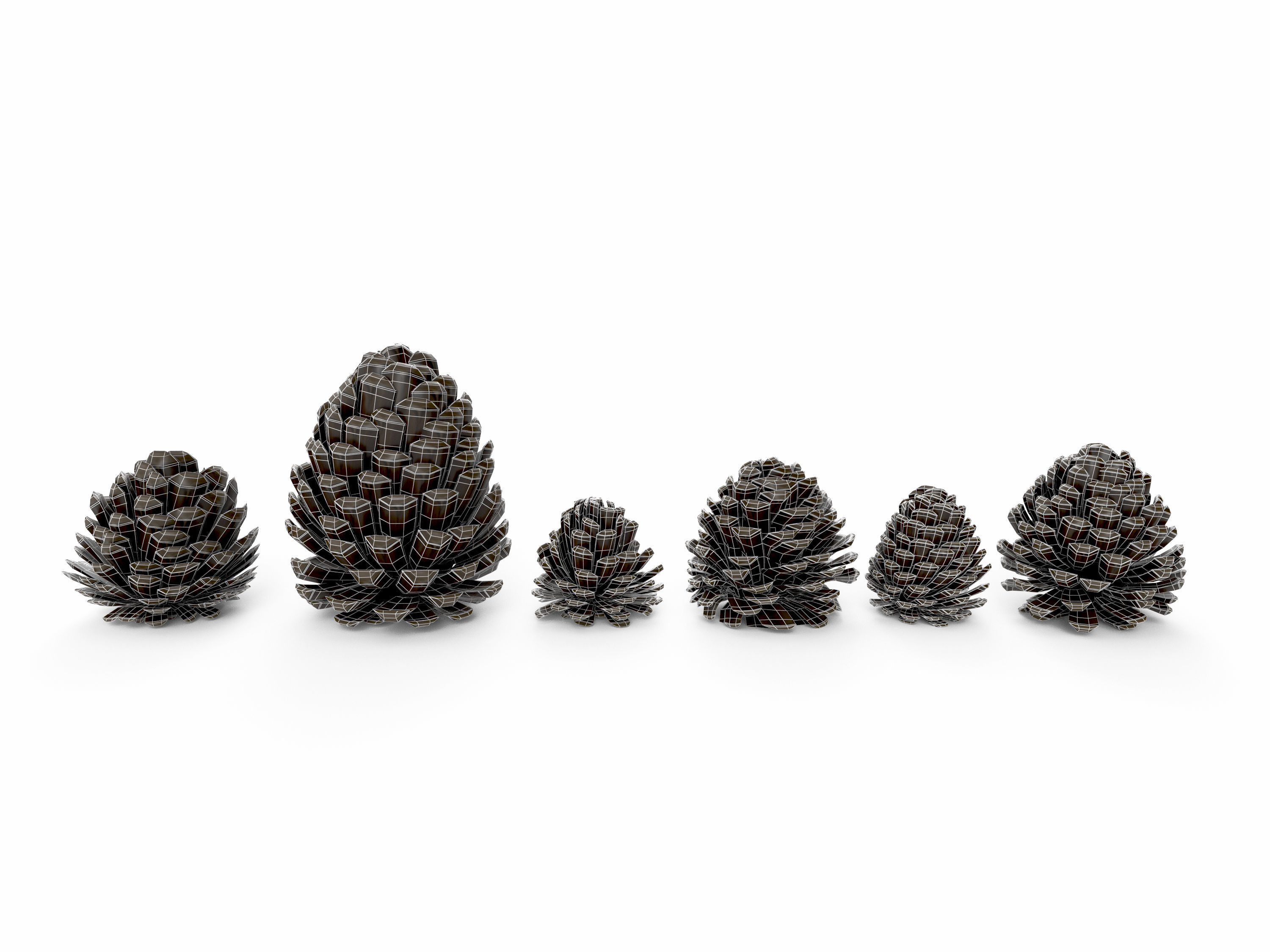 Realistic low-poly fircone models Low-poly 3D model_4