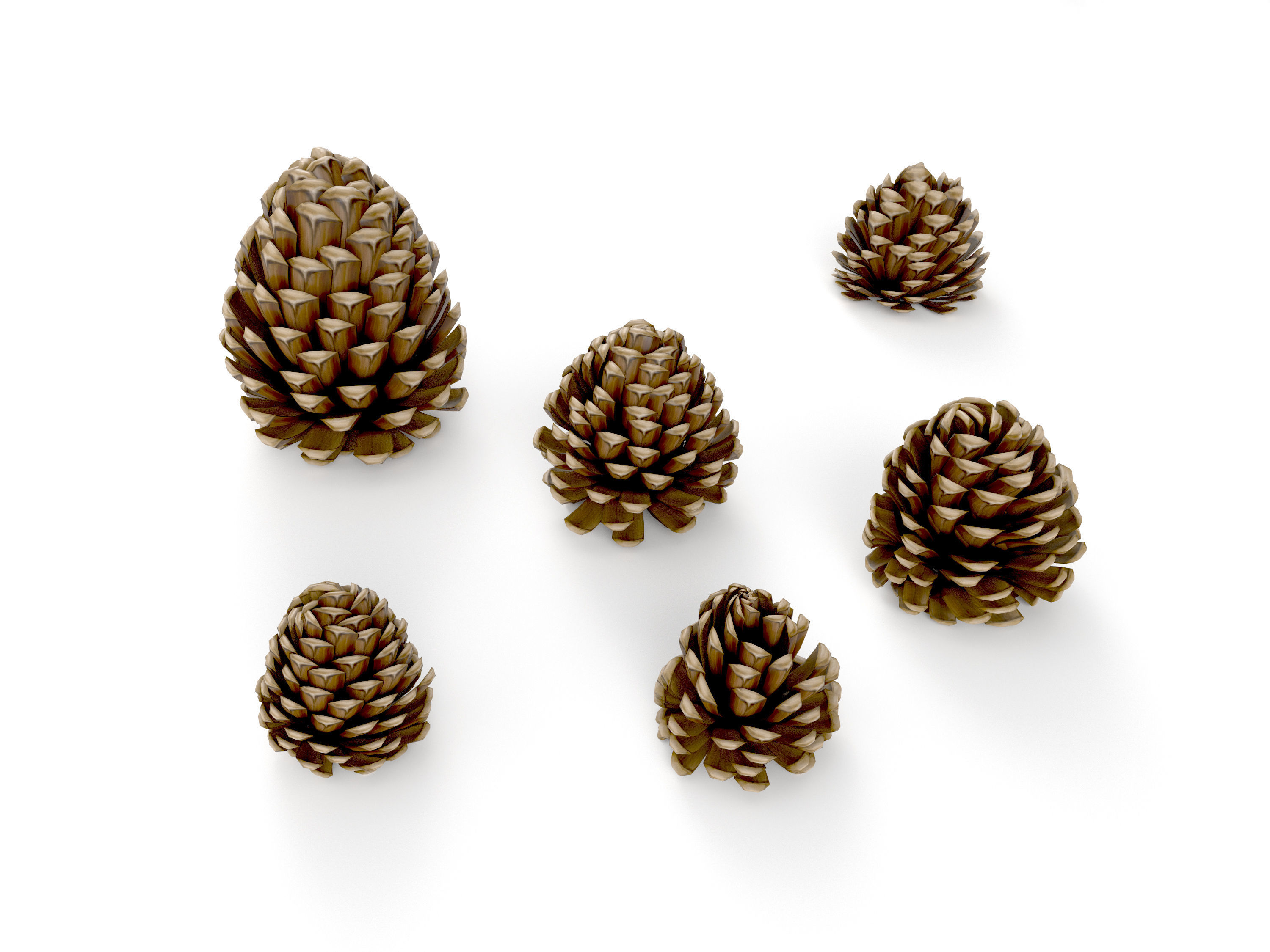 Realistic low-poly fircone models Low-poly 3D model_7