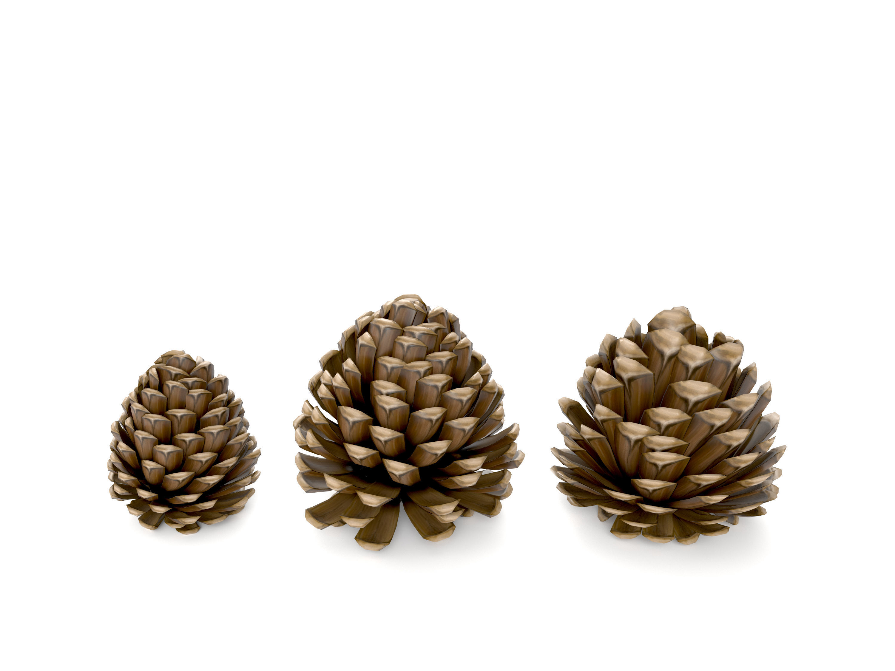 Realistic low-poly fircone models Low-poly 3D model_2