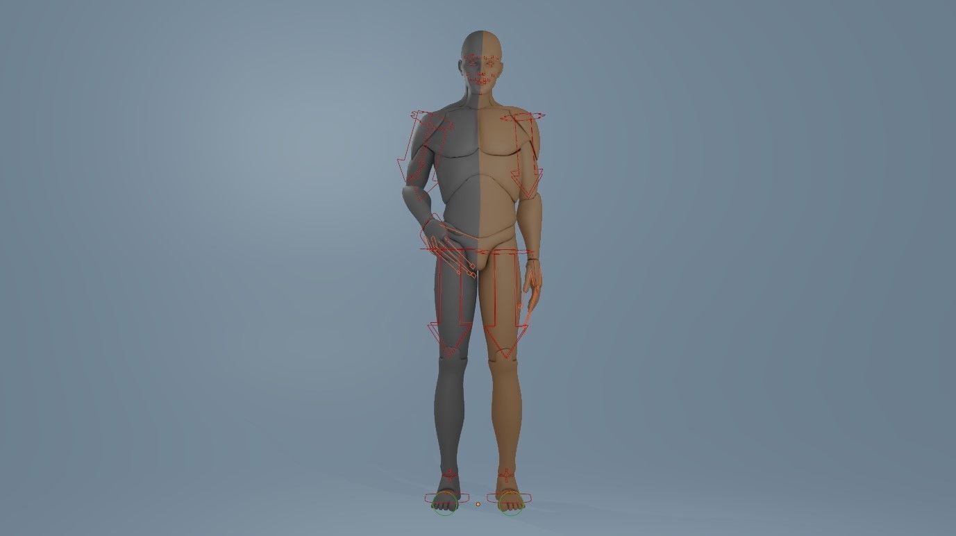 Blender IK and FK Rigged Doll  - Male   Low-poly 3D model_23