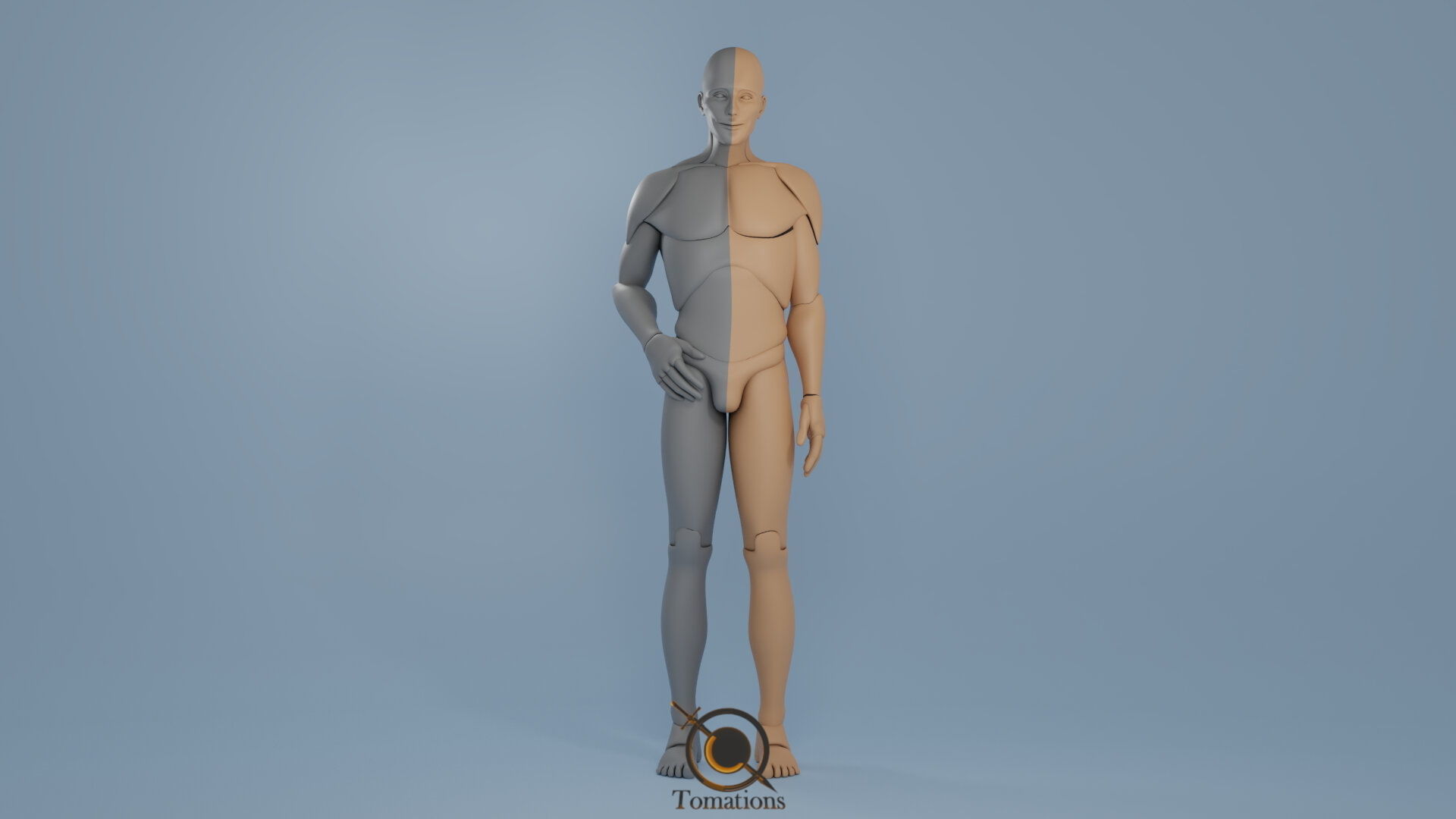 Blender IK and FK Rigged Doll  - Male   Low-poly 3D model_4