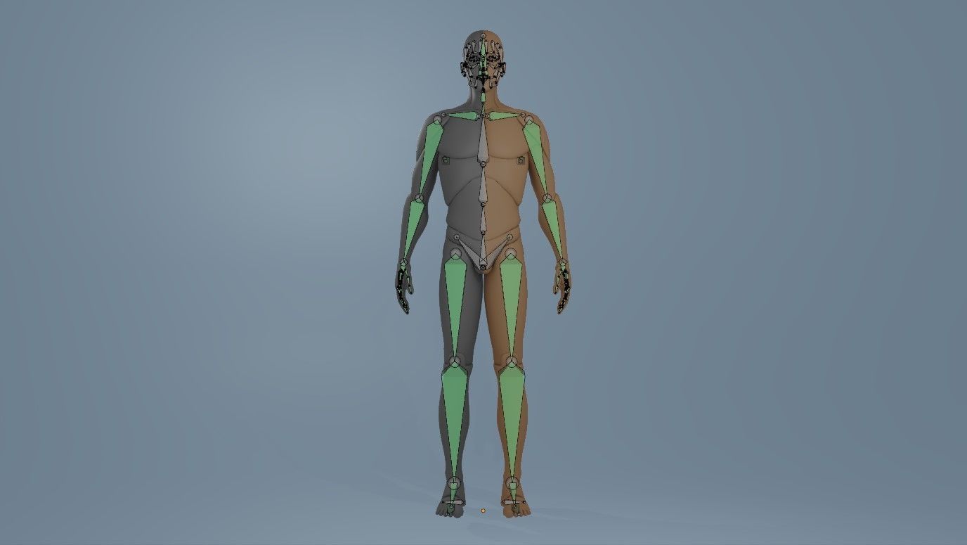Blender IK and FK Rigged Doll  - Male   Low-poly 3D model_22