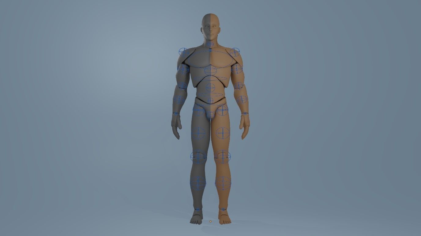 Blender IK and FK Rigged Doll  - Male   Low-poly 3D model_19
