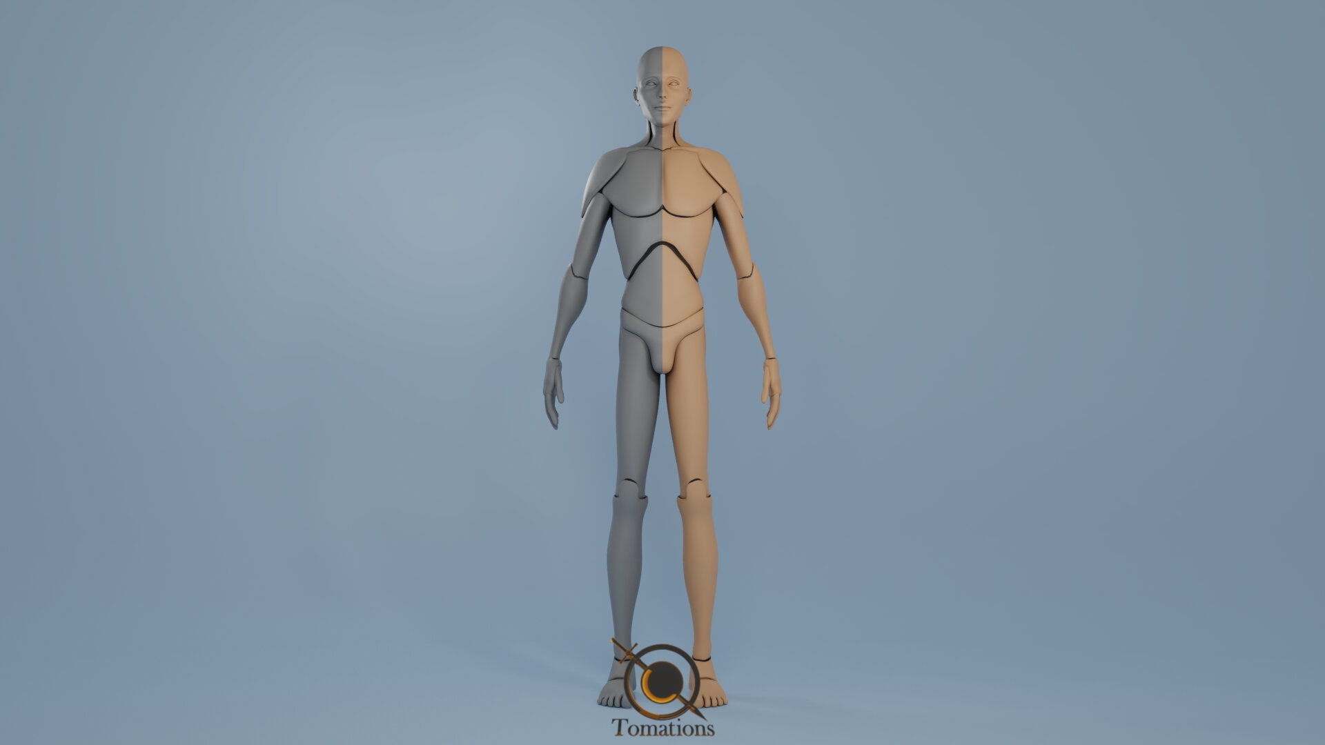 Blender IK and FK Rigged Doll  - Male   Low-poly 3D model_3