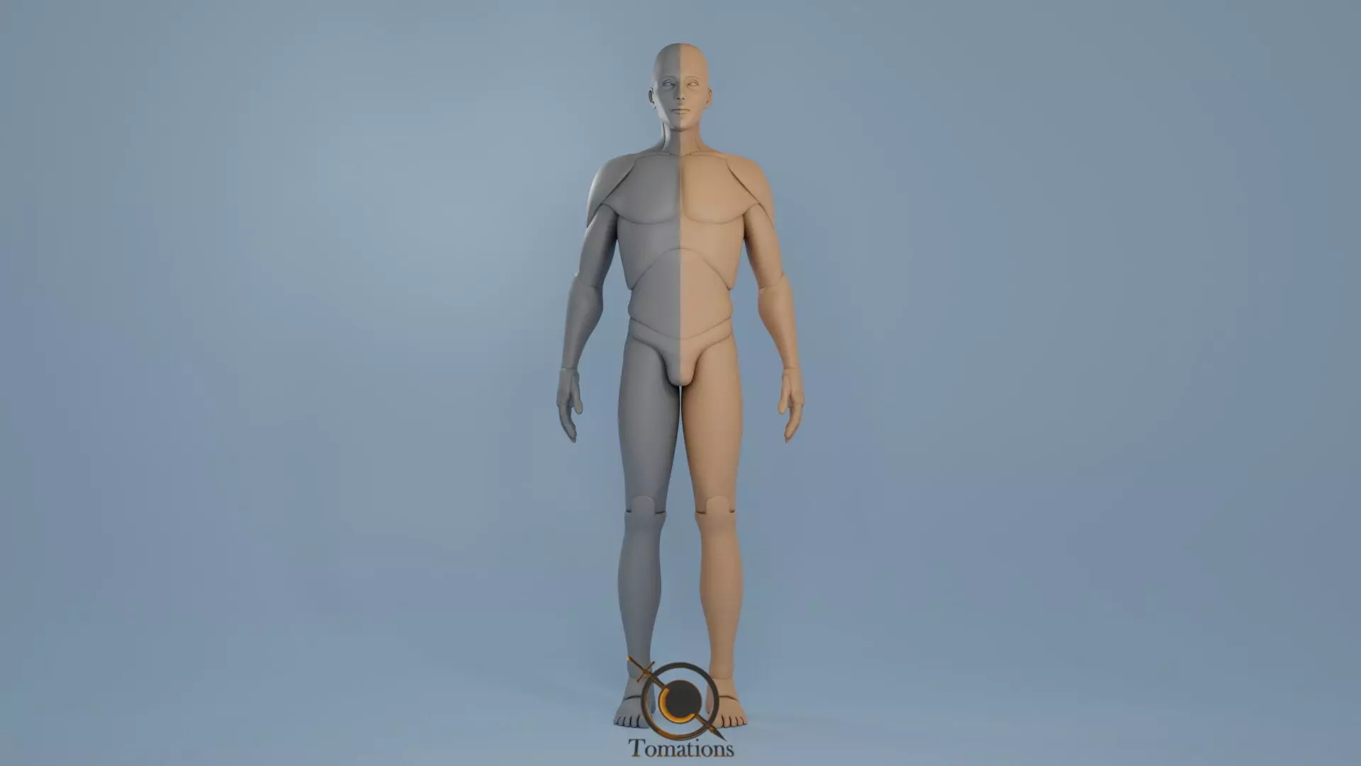 Blender IK and FK Rigged Doll  - Male   Low-poly 3D model_0