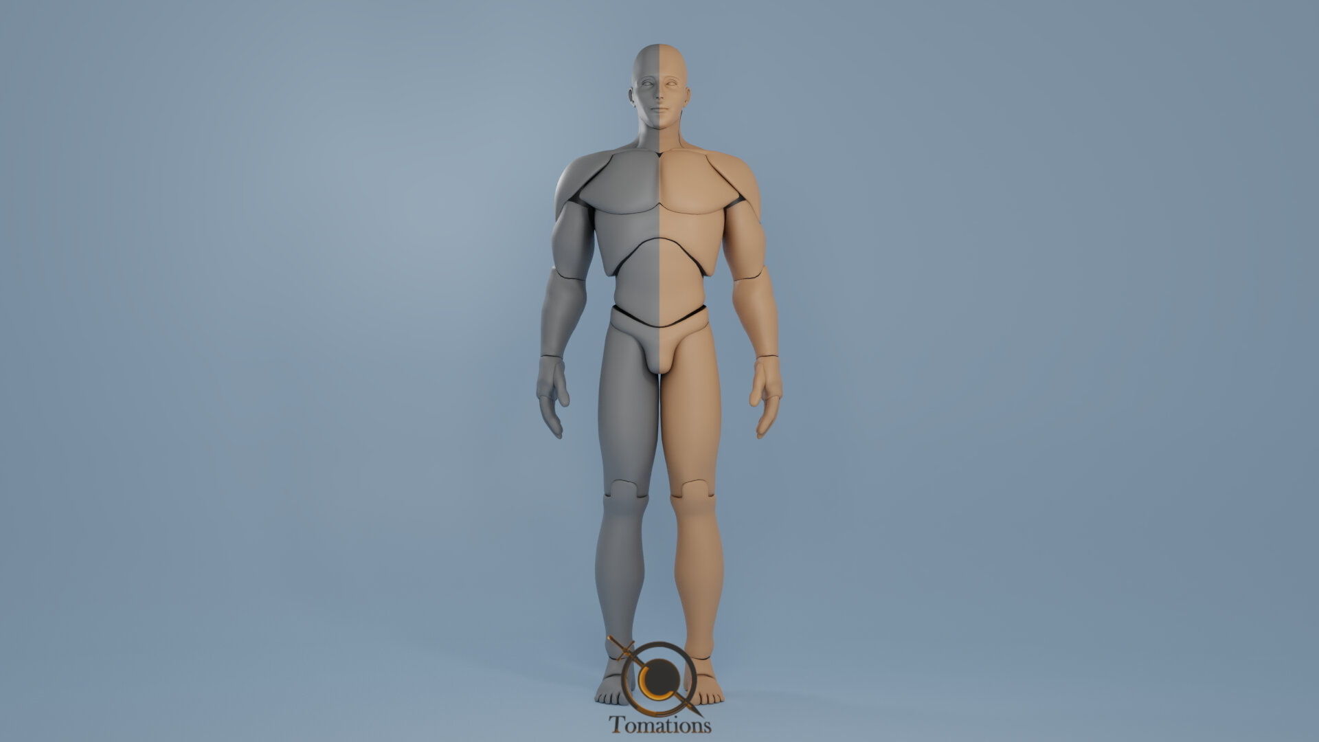 Blender IK and FK Rigged Doll  - Male   Low-poly 3D model_2