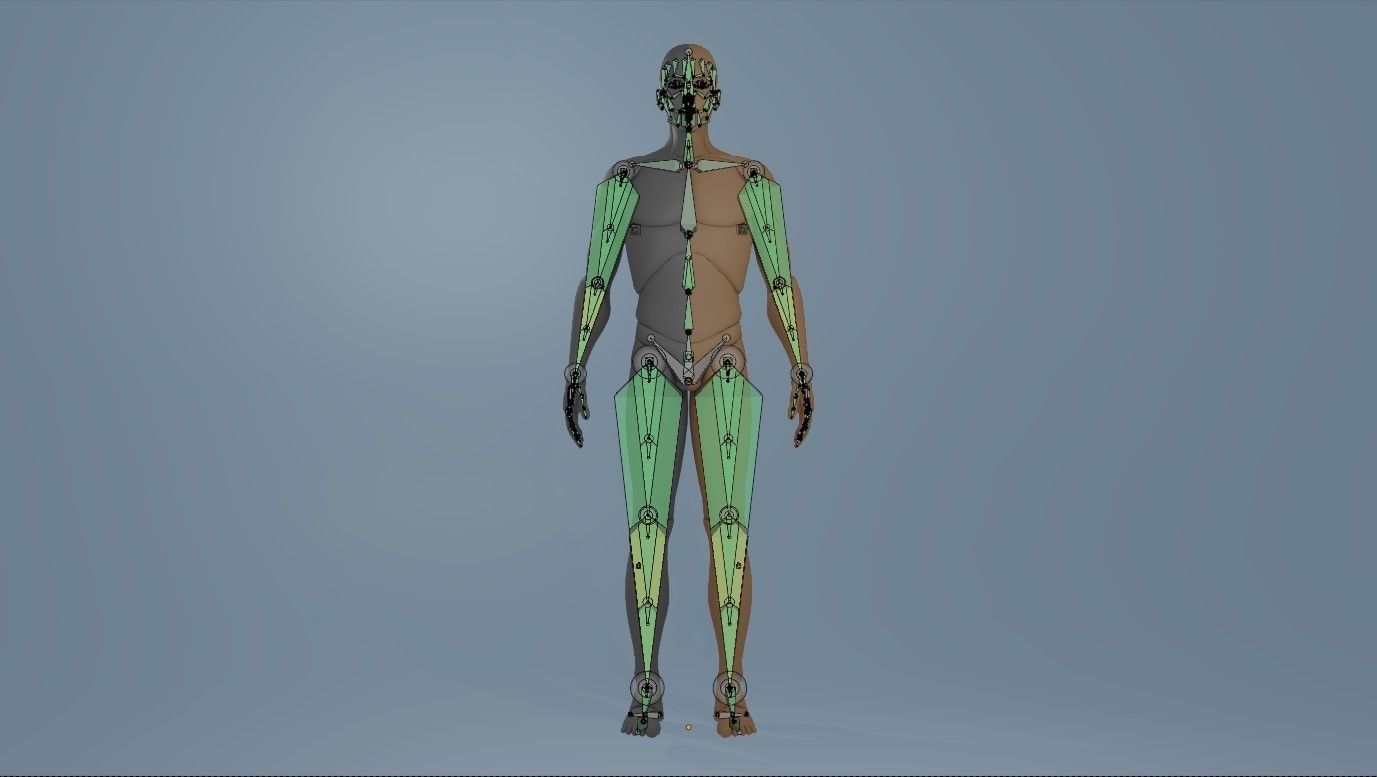 Blender IK and FK Rigged Doll  - Male   Low-poly 3D model_18
