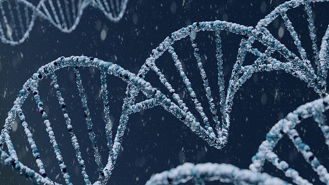 DNA Strand Low-poly 3D model