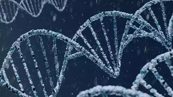 DNA Strand Low-poly 3D model