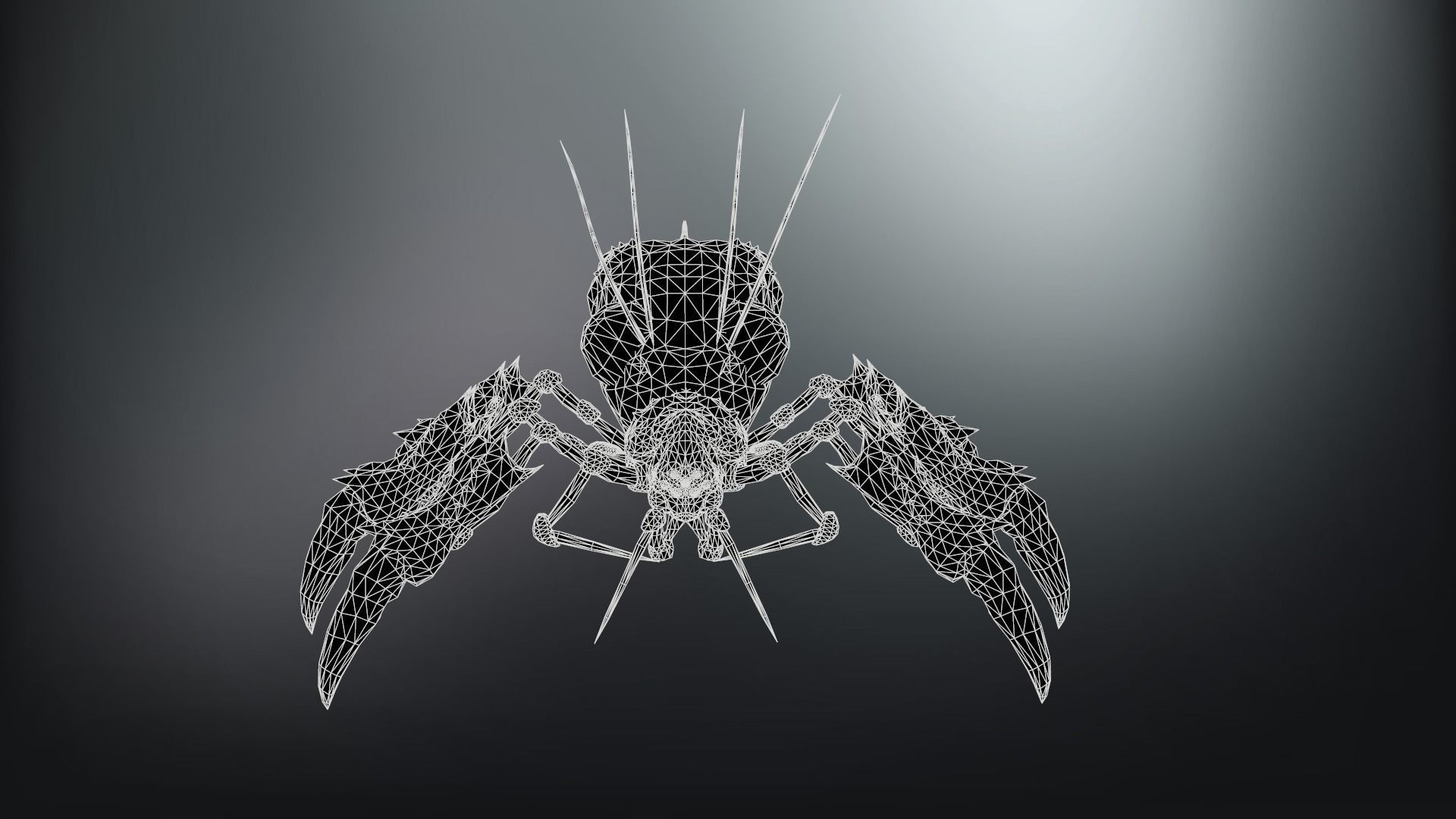 SpiderBug1 spider Low-poly 3D model_9