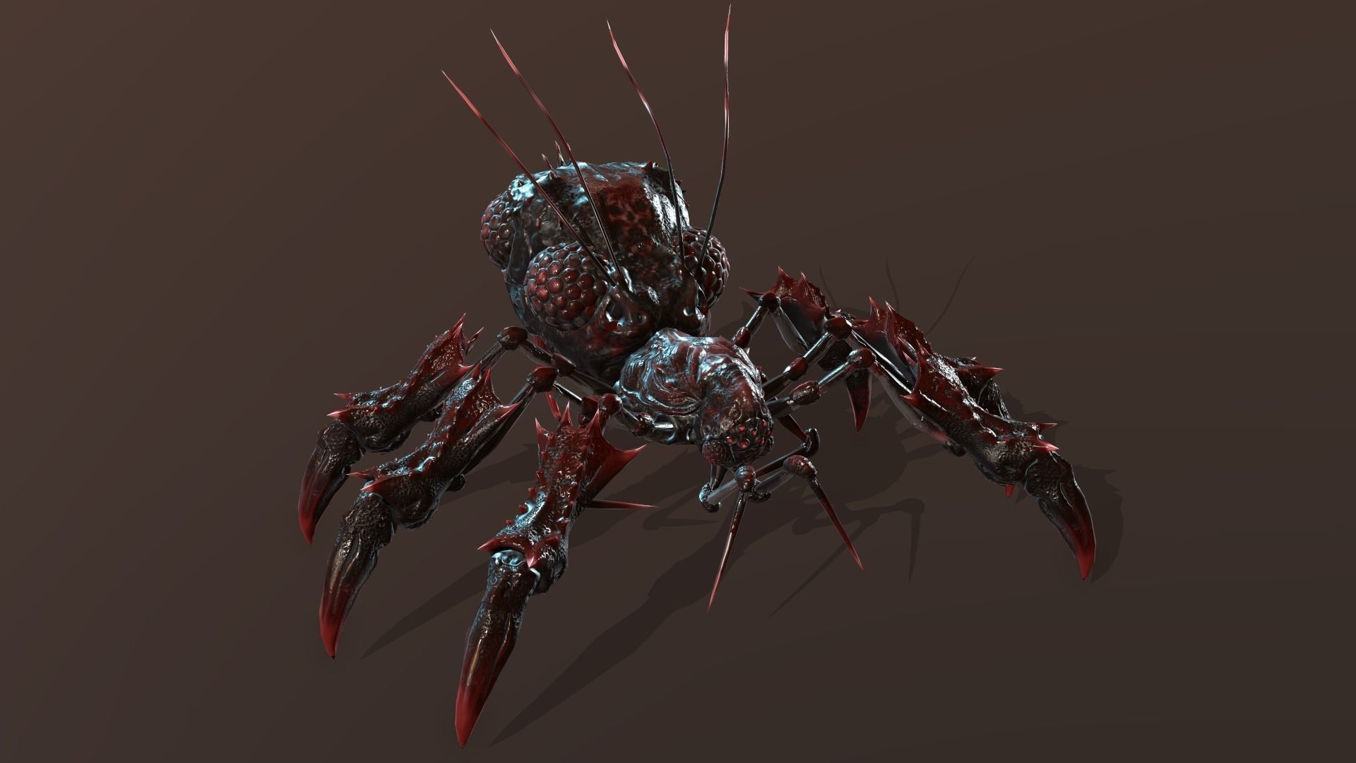 SpiderBug1 spider Low-poly 3D model_5