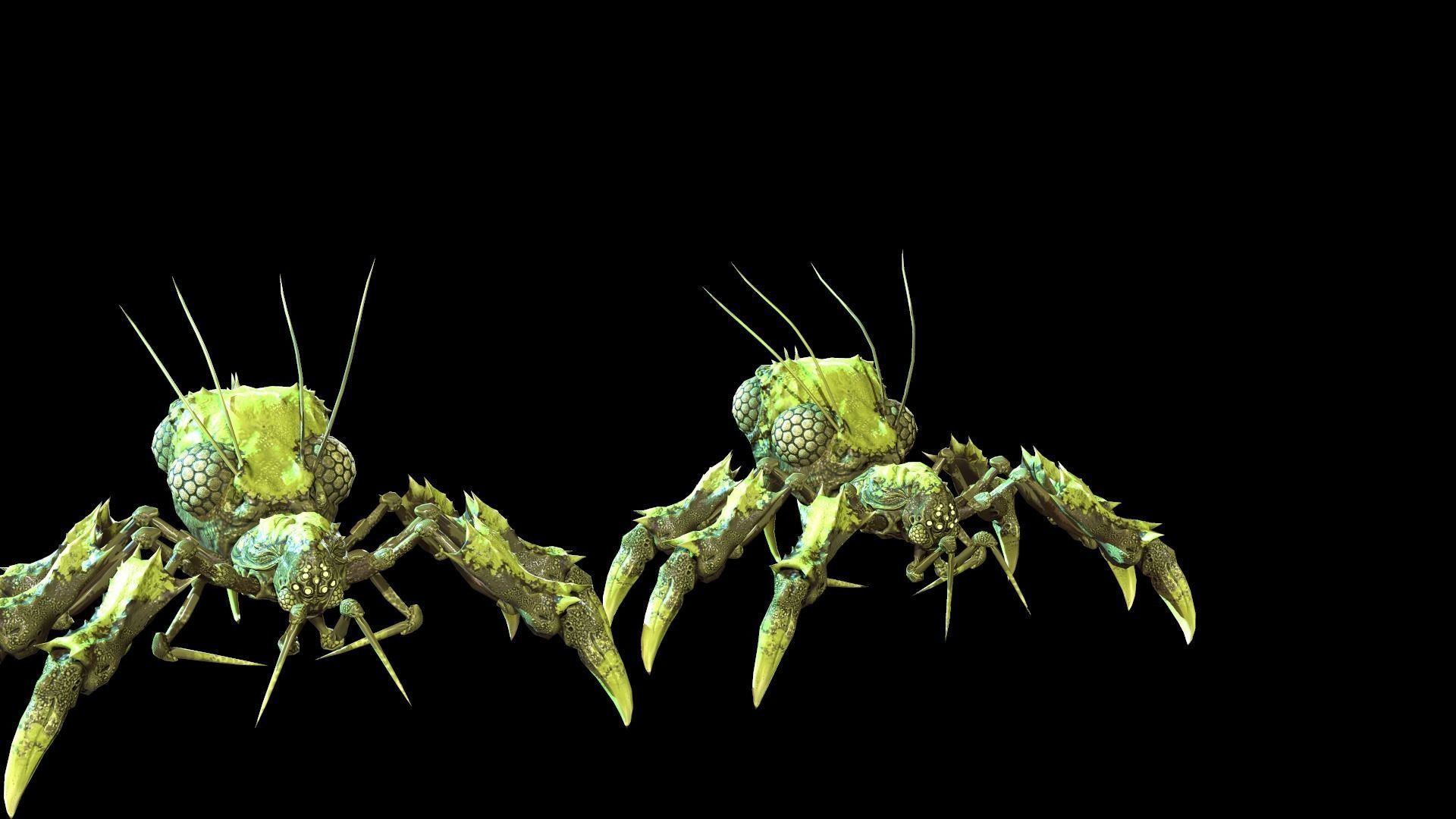 SpiderBug1 spider Low-poly 3D model_6