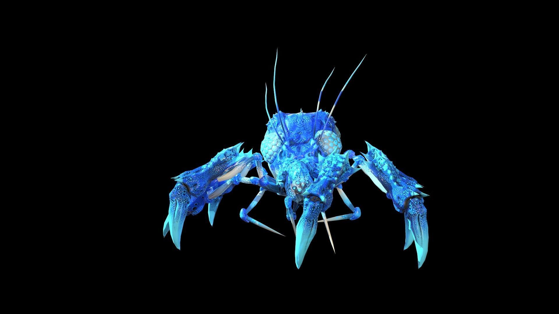 SpiderBug1 spider Low-poly 3D model_16