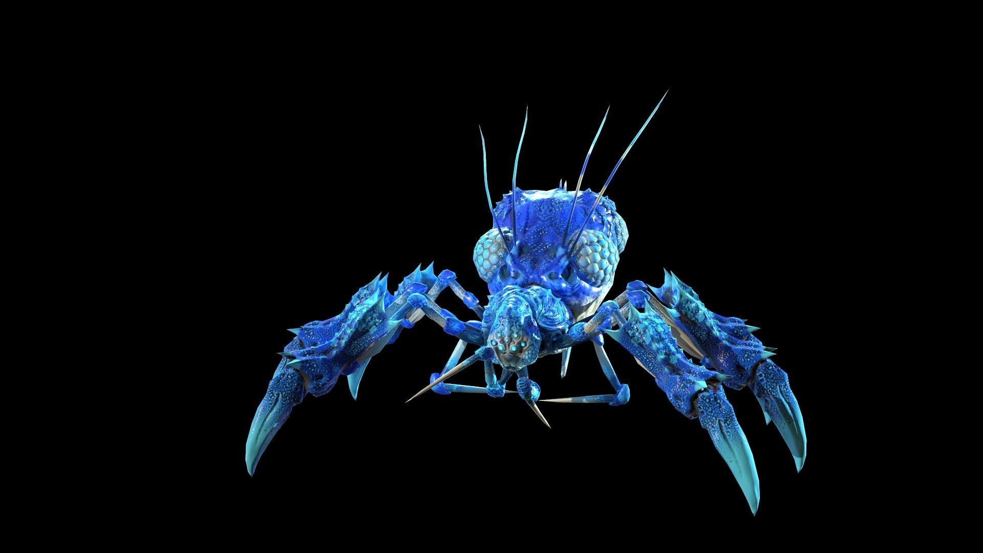 SpiderBug1 spider Low-poly 3D model_15