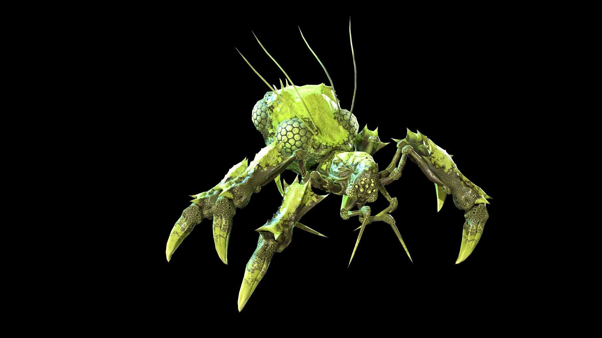 SpiderBug1 spider Low-poly 3D model_13