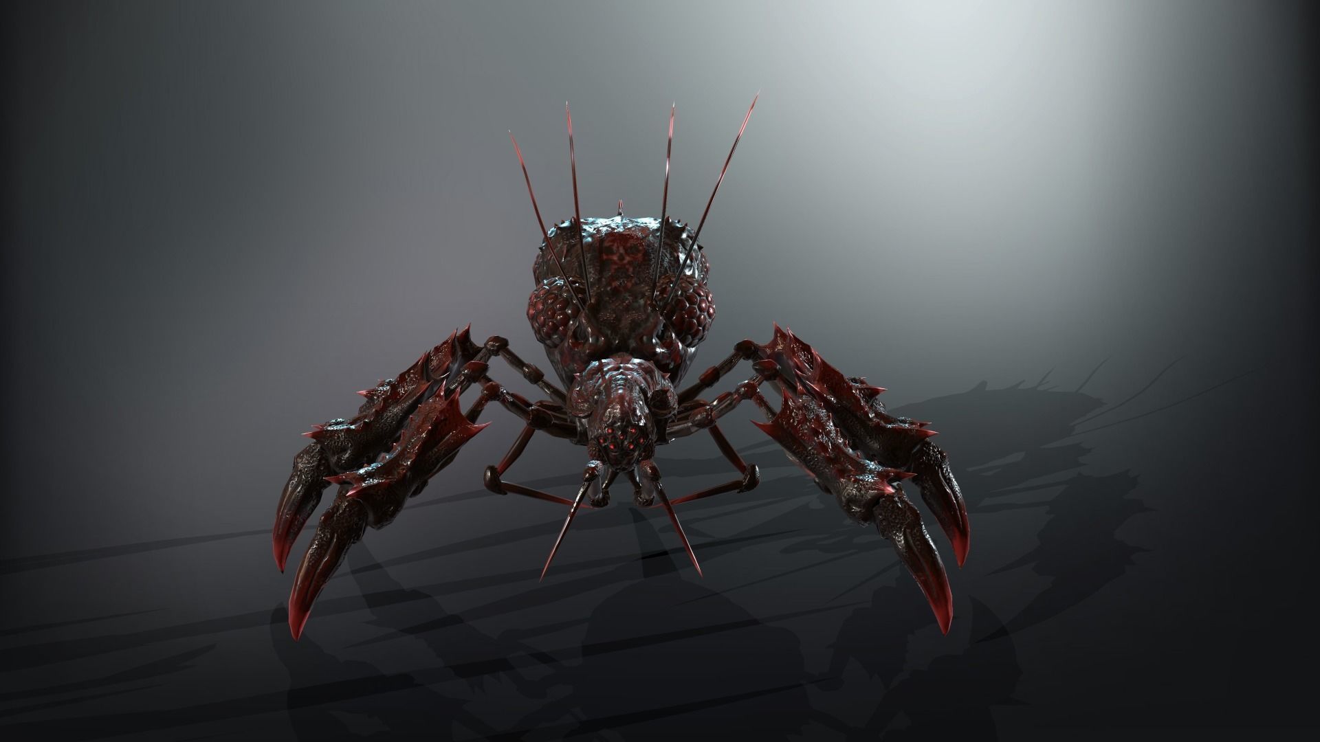 SpiderBug1 spider Low-poly 3D model_8