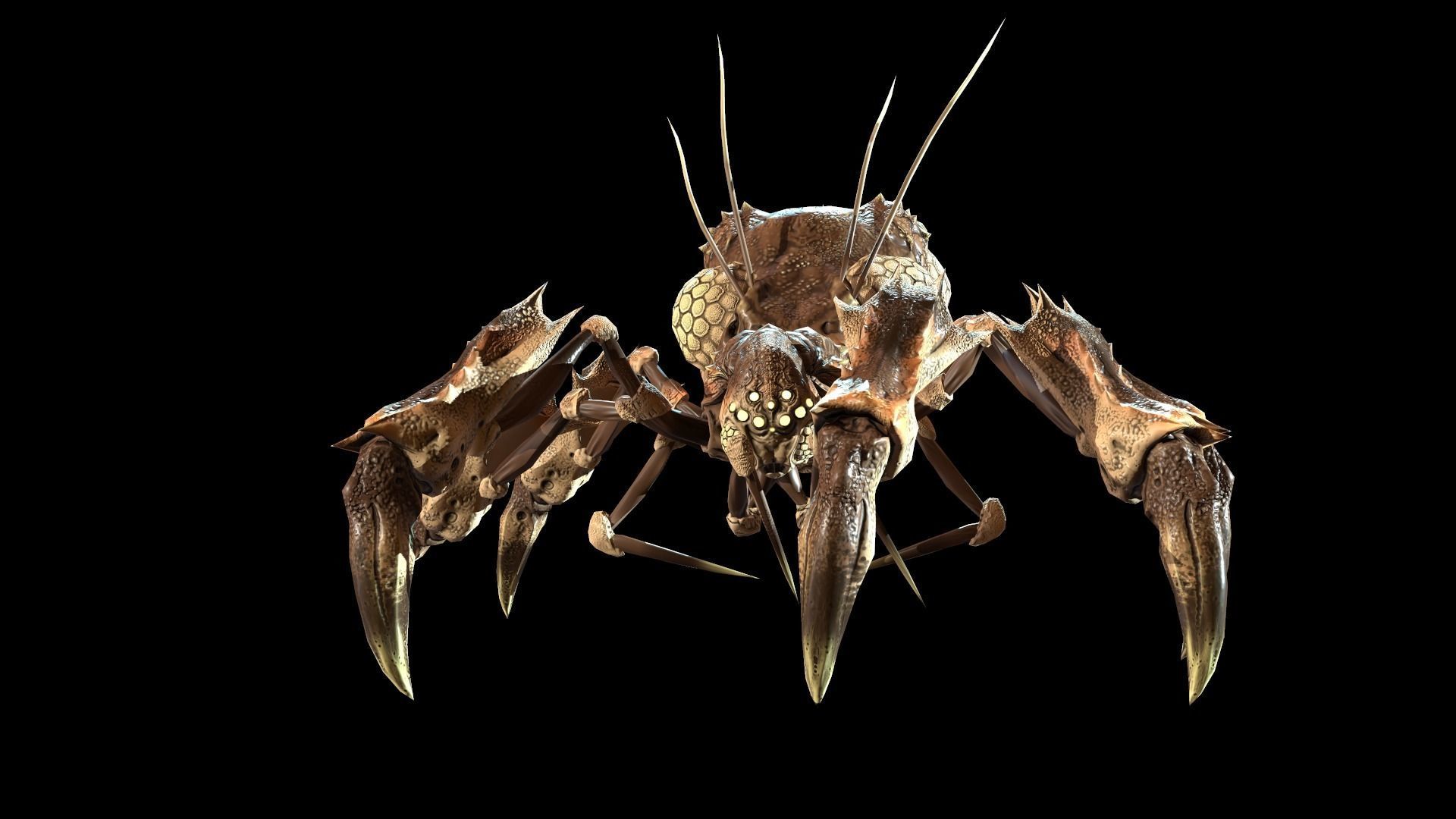 SpiderBug1 spider Low-poly 3D model_18