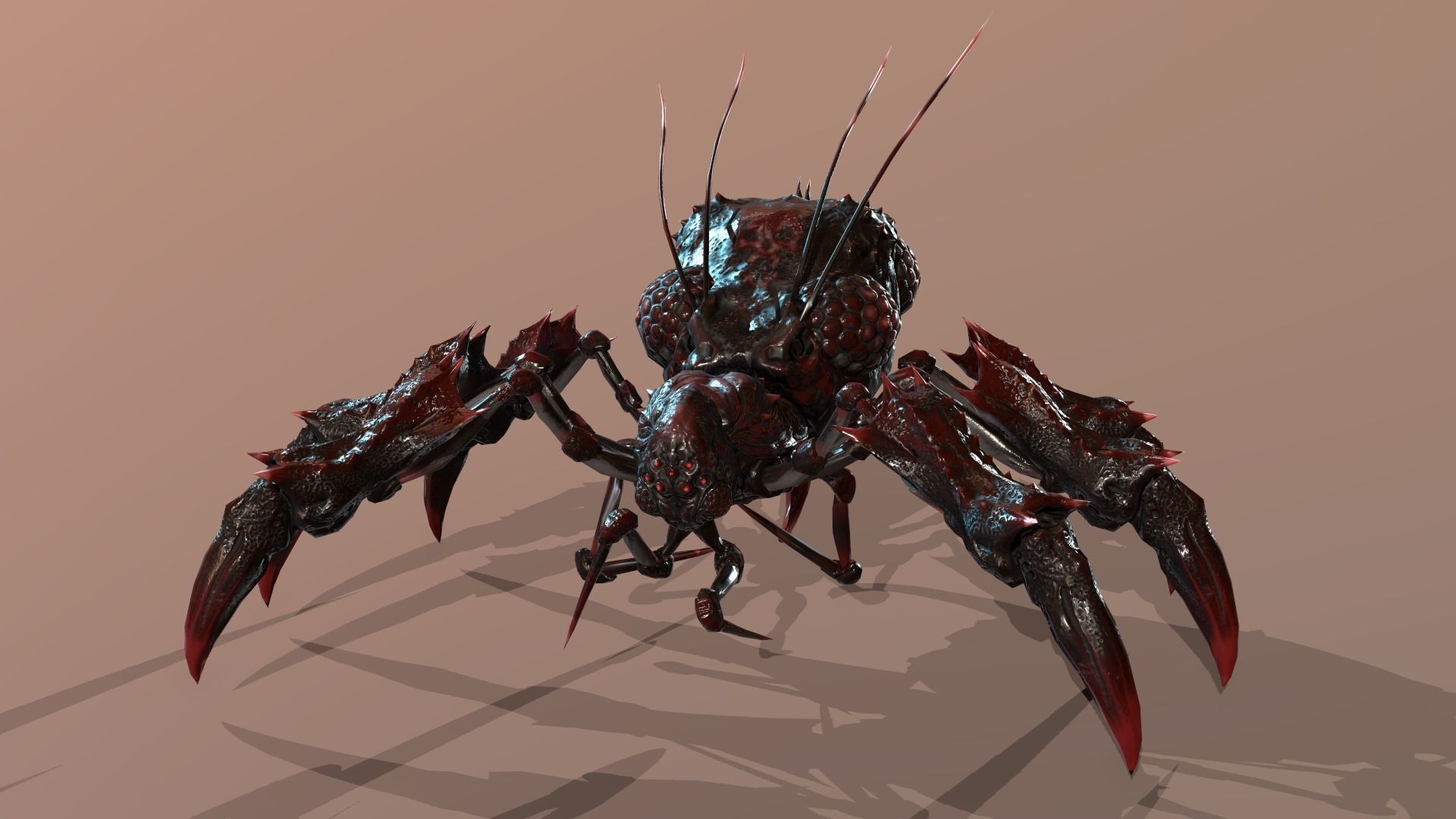 SpiderBug1 spider Low-poly 3D model_12