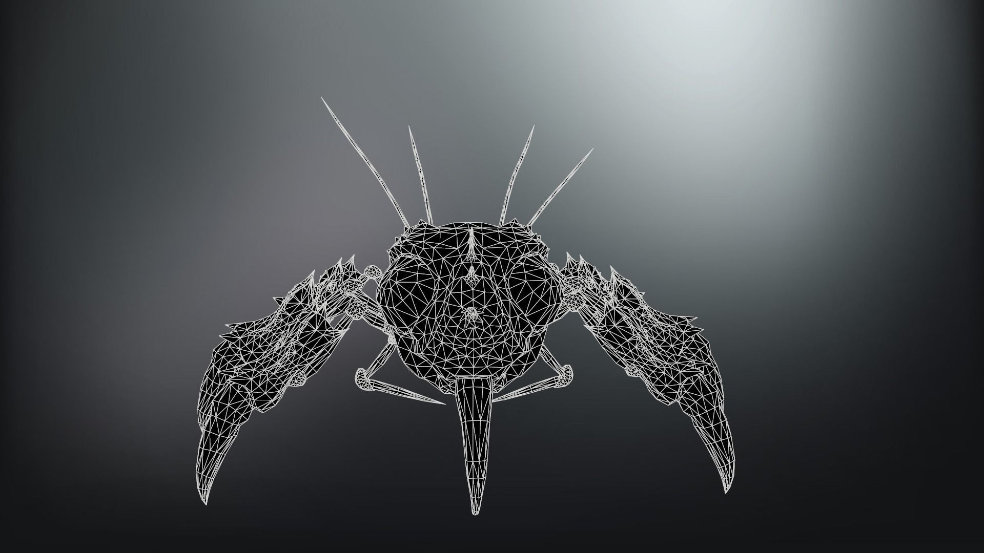 SpiderBug1 spider Low-poly 3D model_10