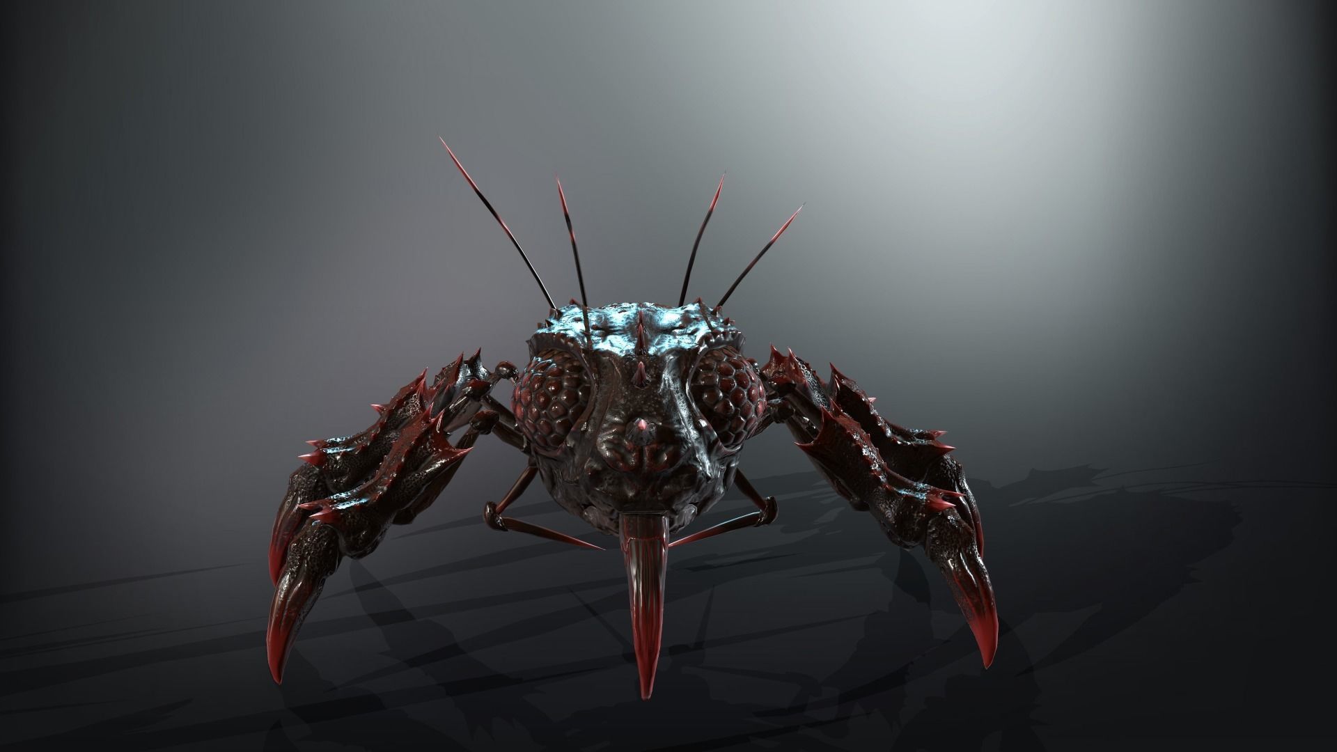 SpiderBug1 spider Low-poly 3D model_7