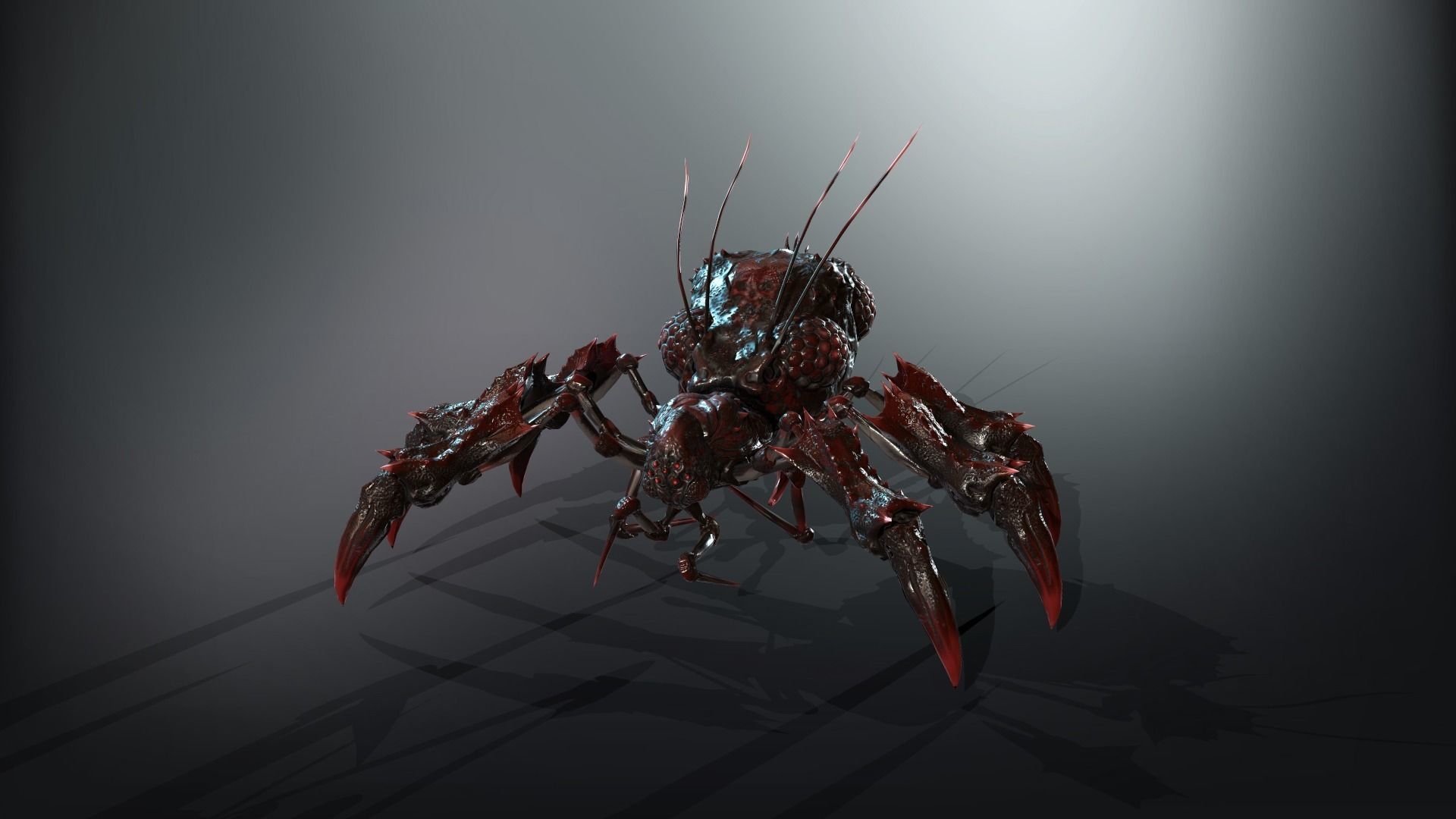 SpiderBug1 spider Low-poly 3D model_11