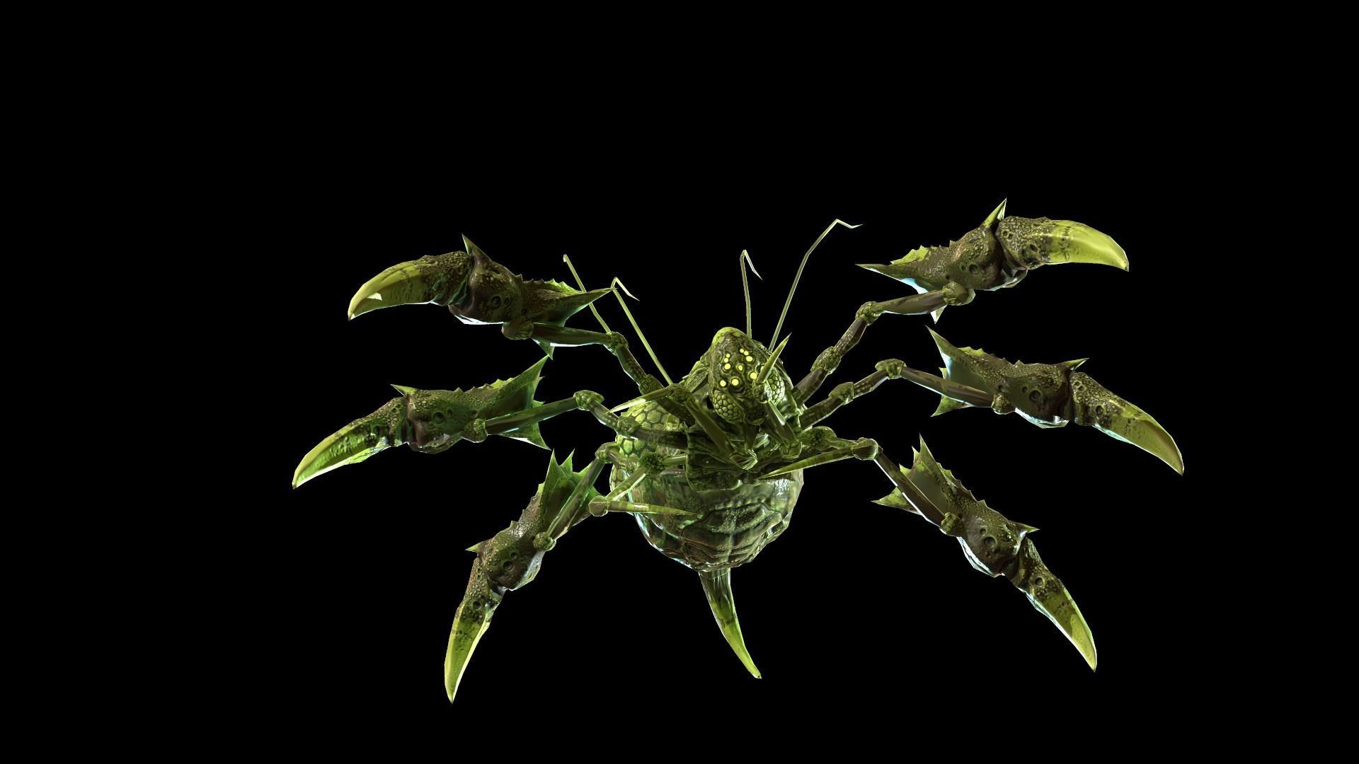 SpiderBug1 spider Low-poly 3D model_14