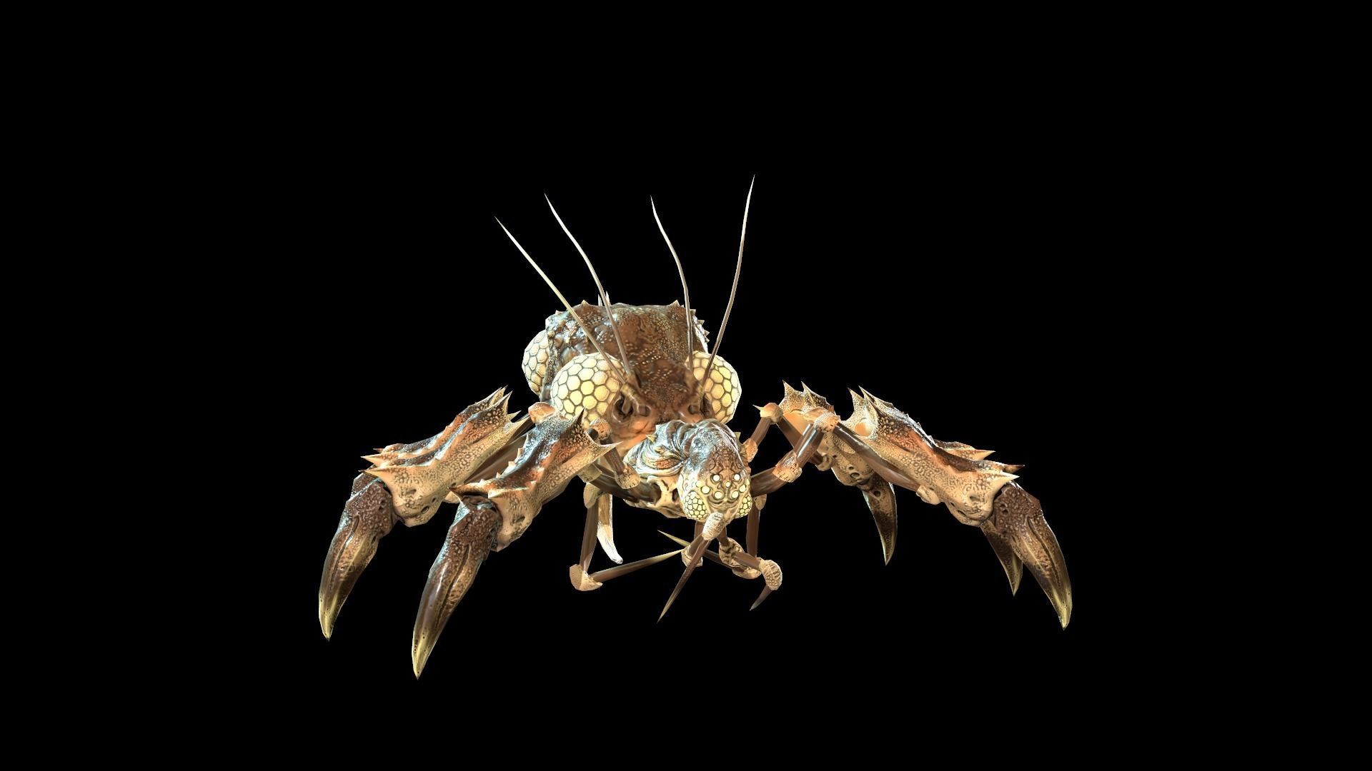 SpiderBug1 spider Low-poly 3D model_17