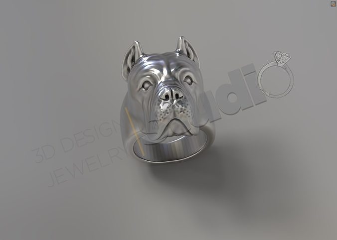 Cane Corso Head ring 3d model 3D print model
