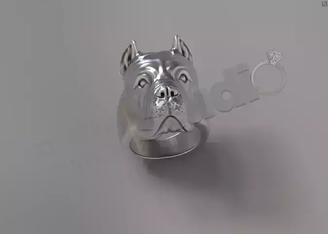 Cane Corso Head ring 3d model 3D print model