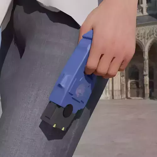 Taser Gun