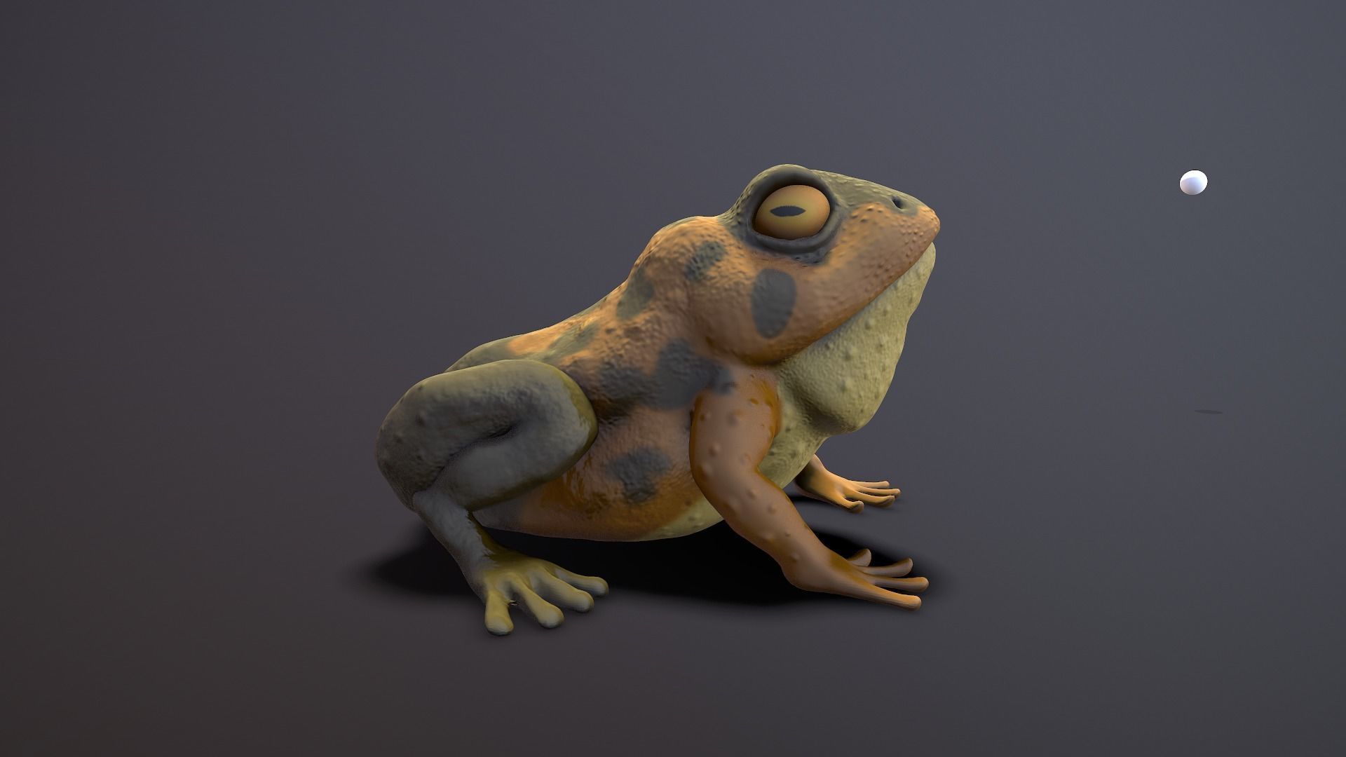 brown frog Low-poly 3D model_4