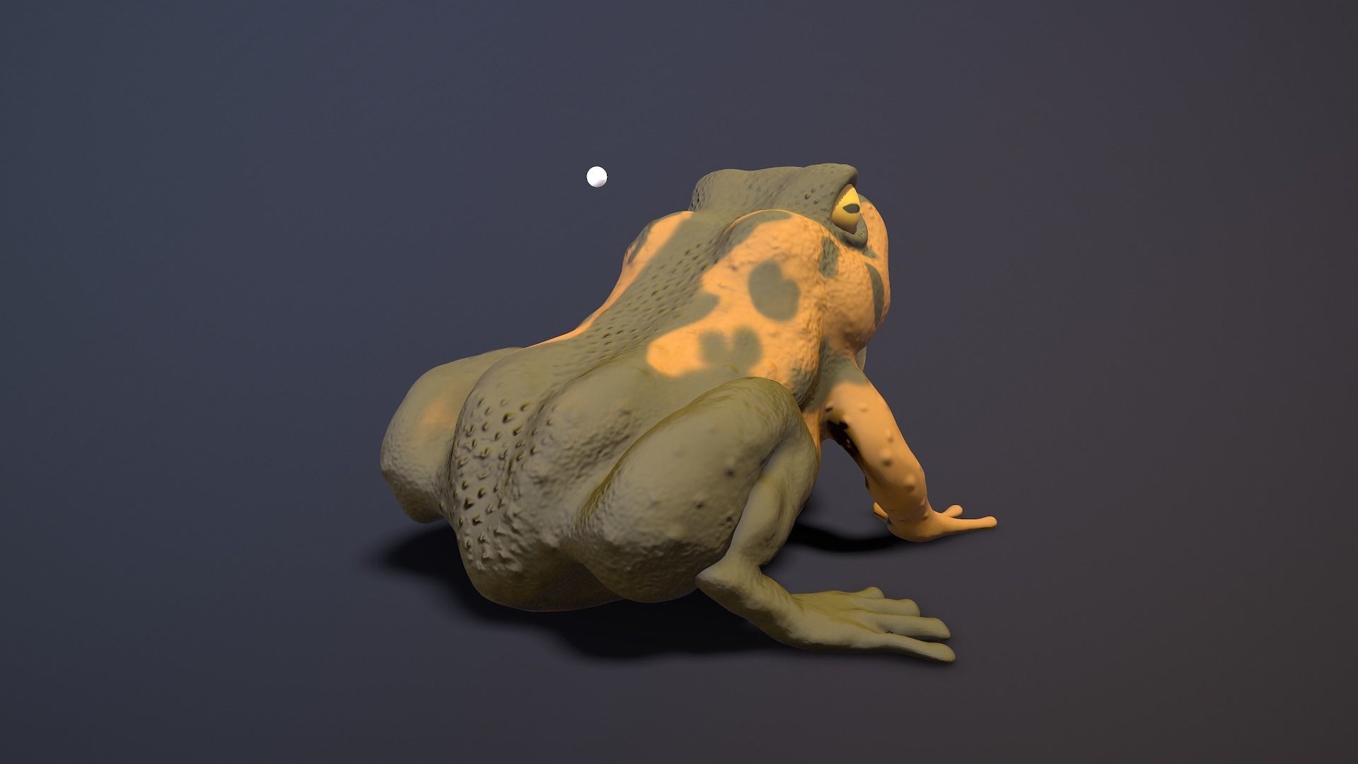 brown frog Low-poly 3D model_5