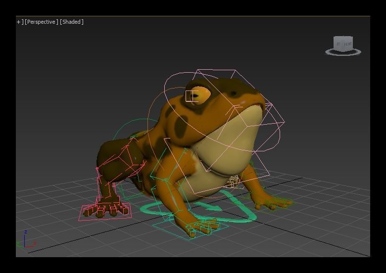 brown frog Low-poly 3D model_12