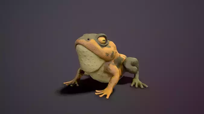 brown frog  Low-poly 3D model