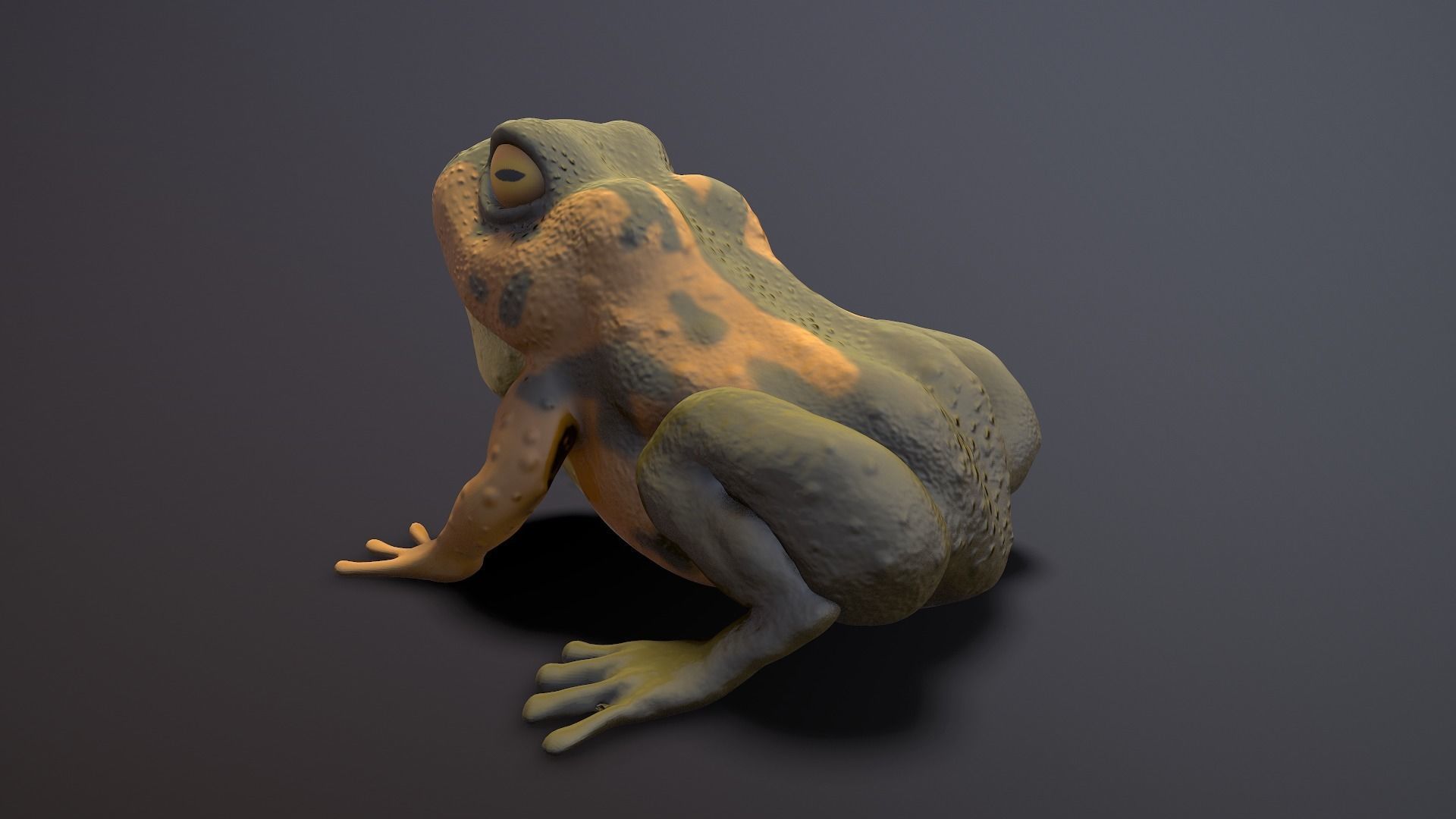 brown frog Low-poly 3D model_7