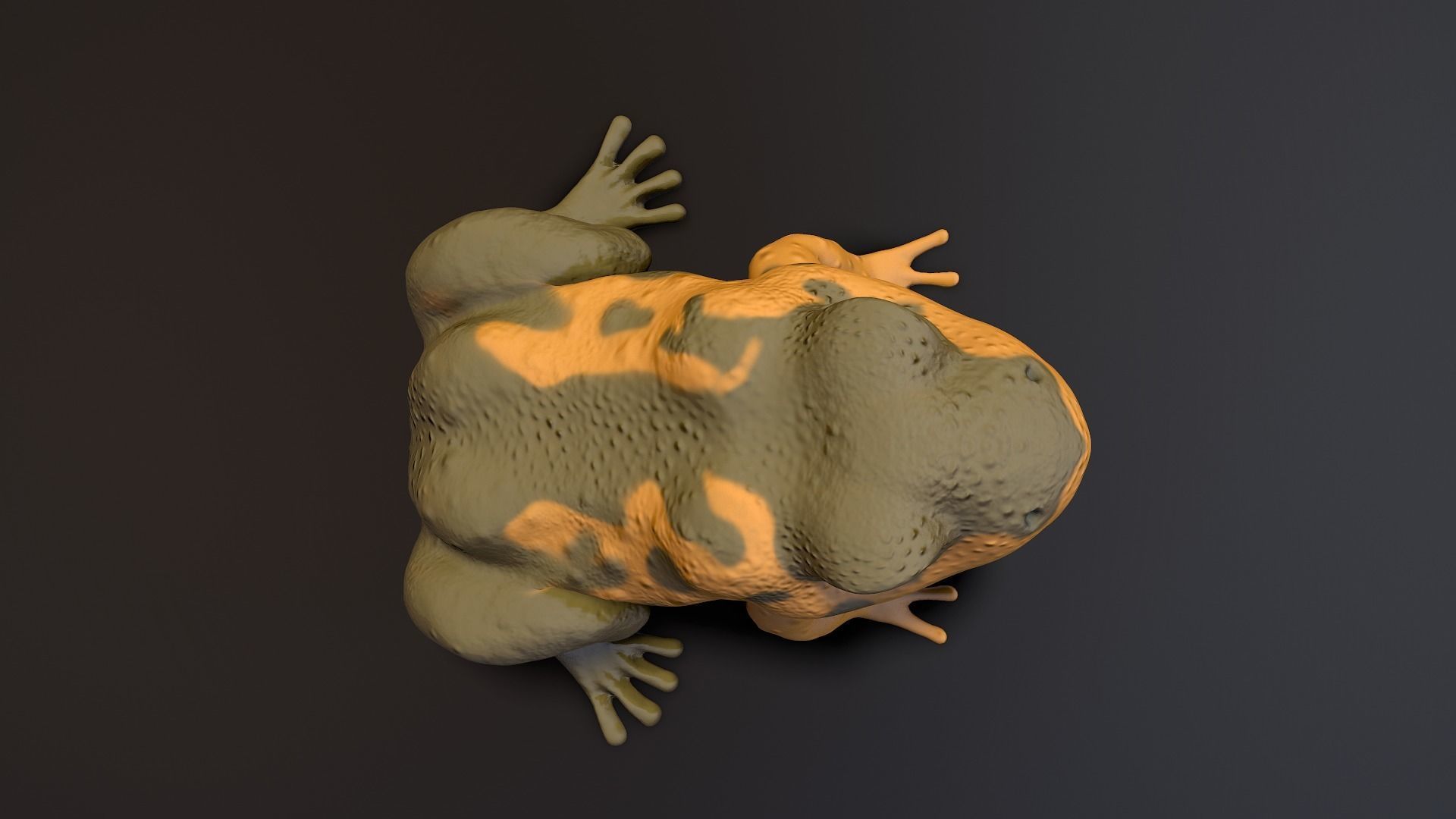 brown frog Low-poly 3D model_9
